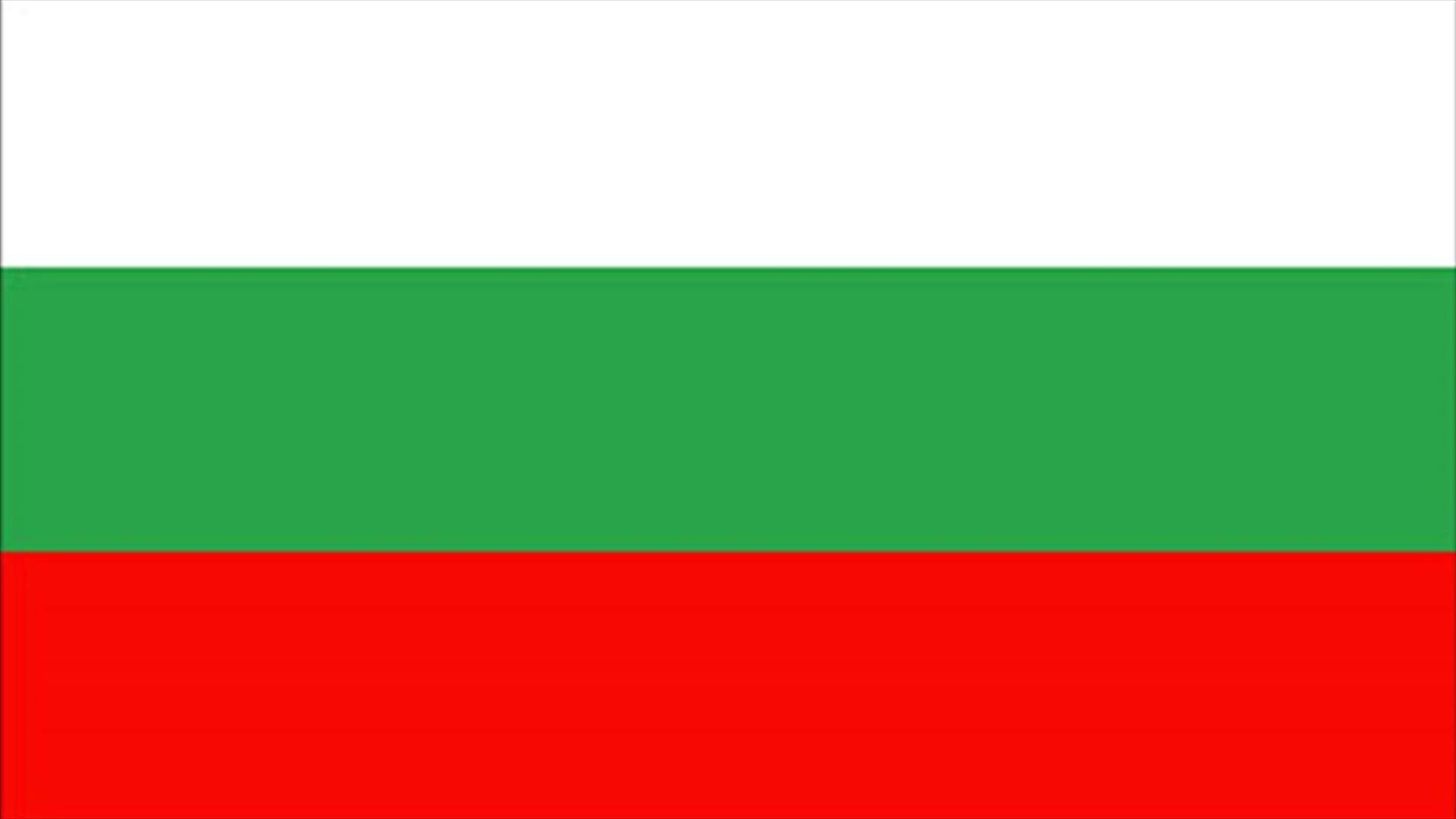 Bulgarian president says no need for new election