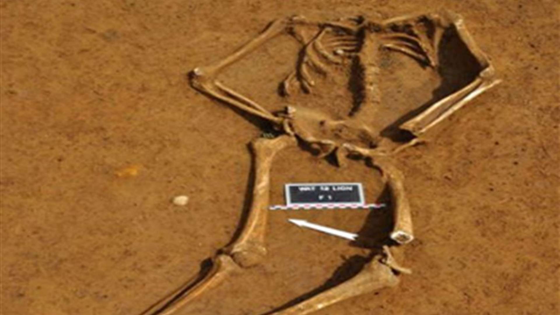 اكتشاف هيكل عظمي لجندي سقط في قتال قبل 1370 سنة