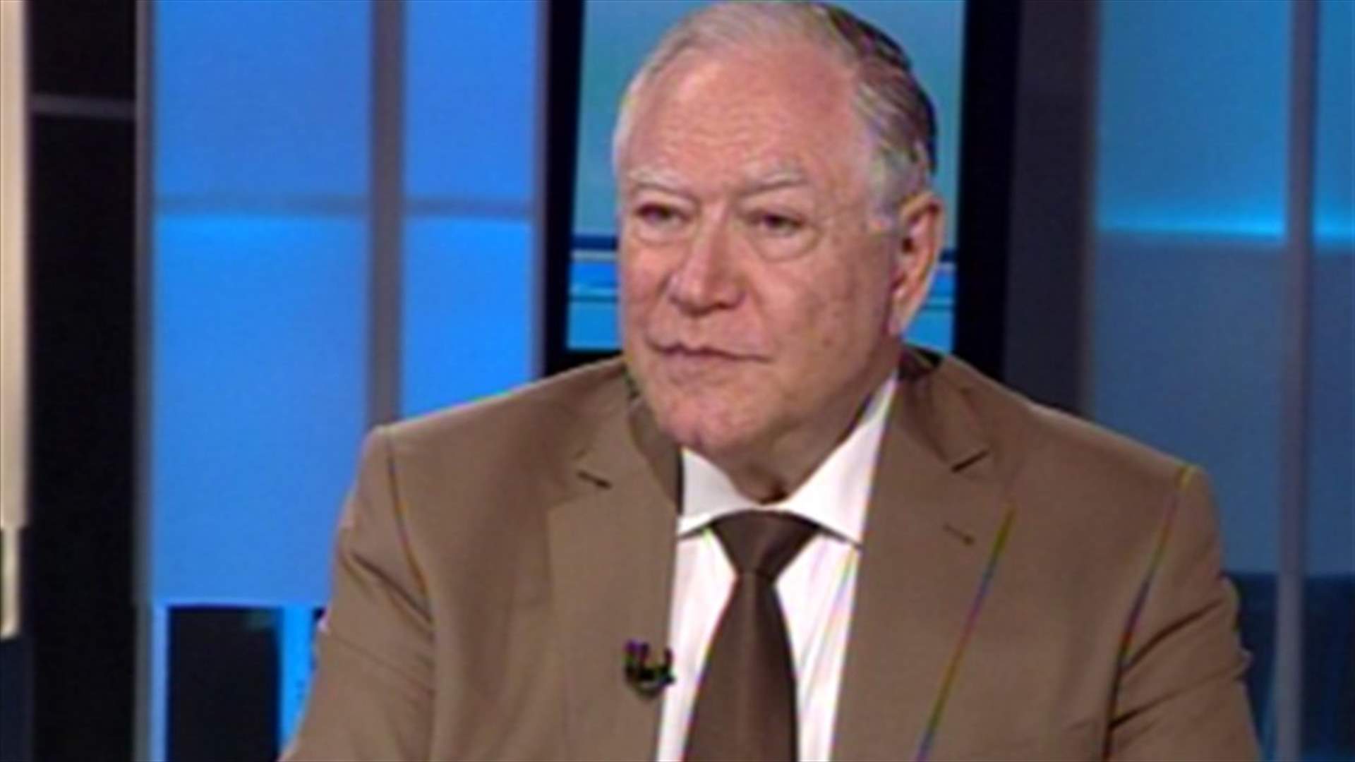 Najjar: Constitutional Council does not work under political pressure
