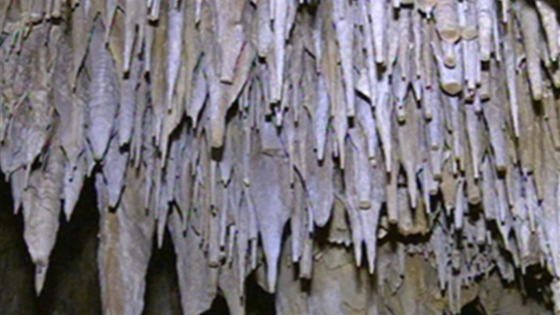 REPORT: Marvelous caves recently discovered in Wadi Qadisha