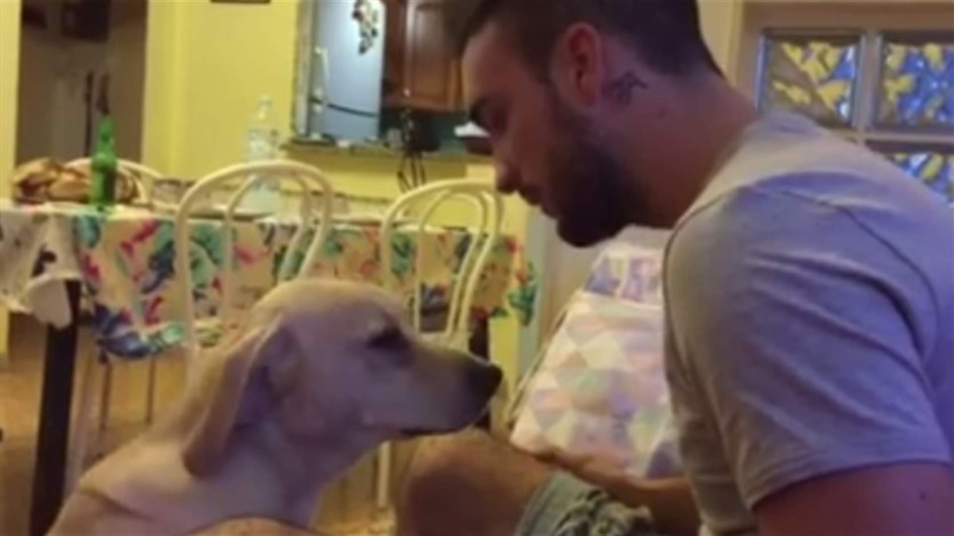 بالفيديو: هكذا طلب كلب الغفران من صاحبه