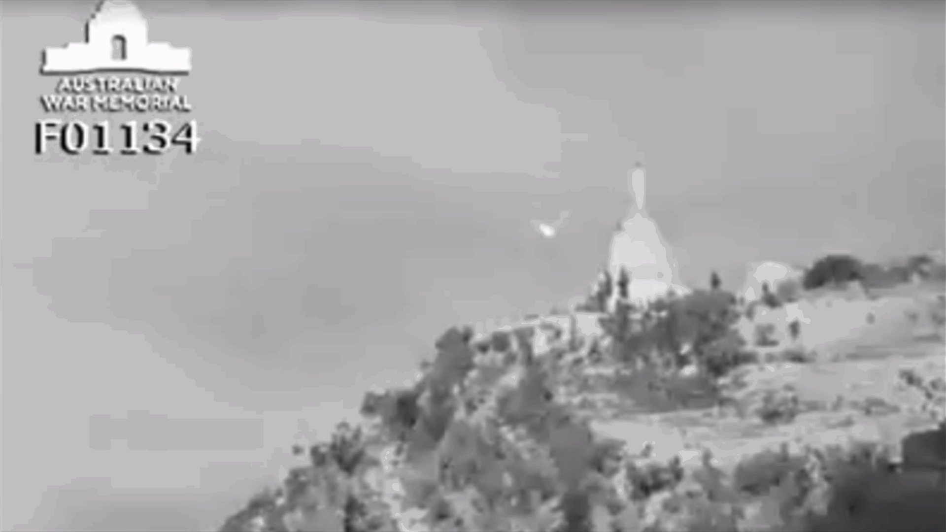 فيديو نادر عن سيدة حريصا