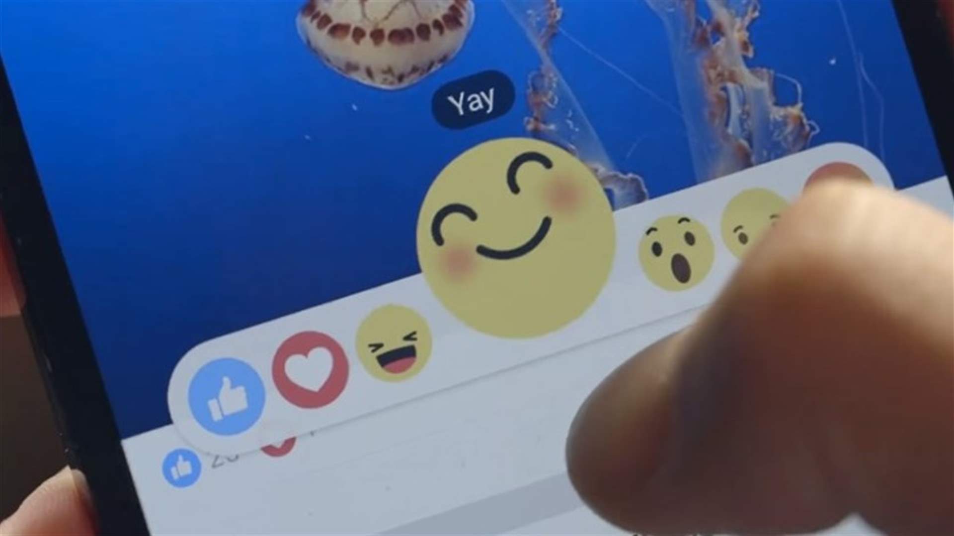 بالفيديو: فيسبوك يُفاجئ مستخدميه بهذا التحديث
