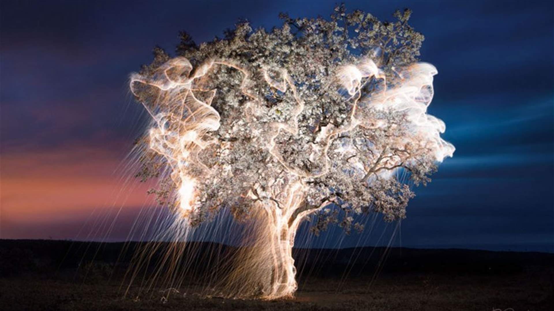 [PHOTOS] Strings of Light Drip From Trees In Long-Exposure Photos By Brazilian Photographer