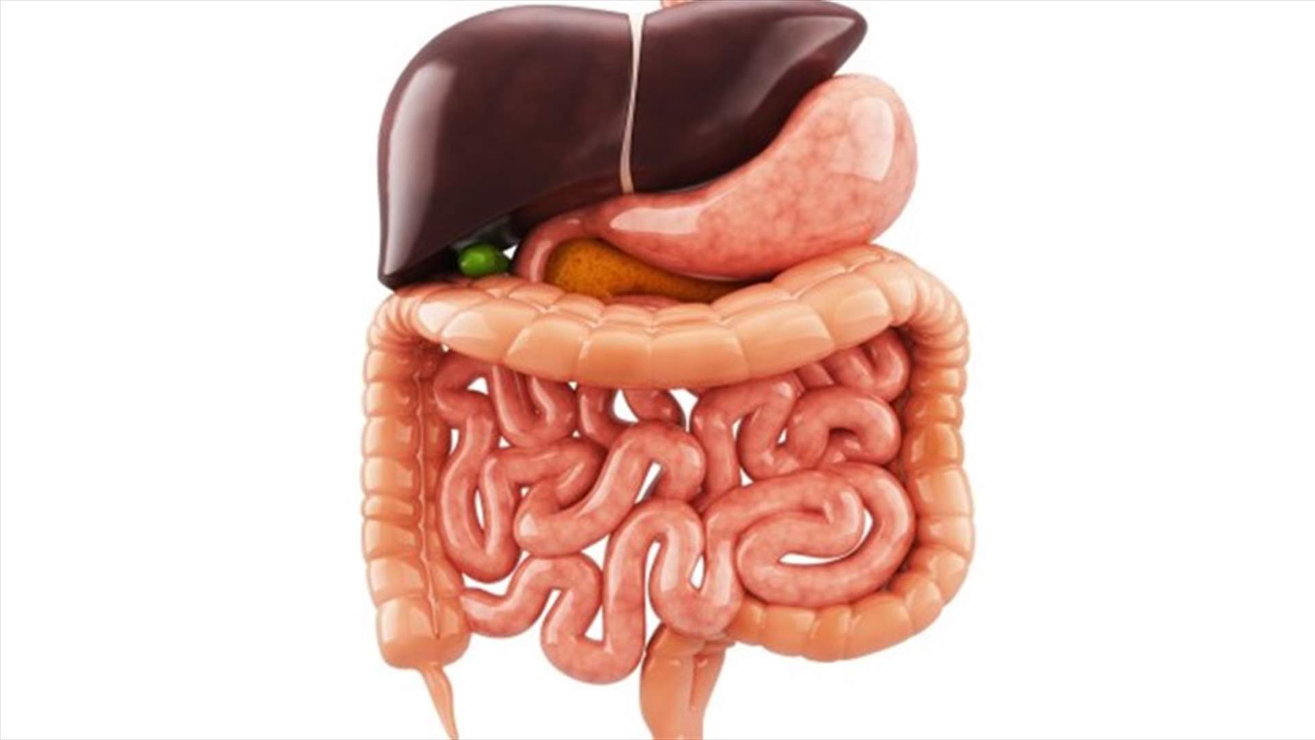 [VIDEO] Watch Food Being Digested In The Stomach