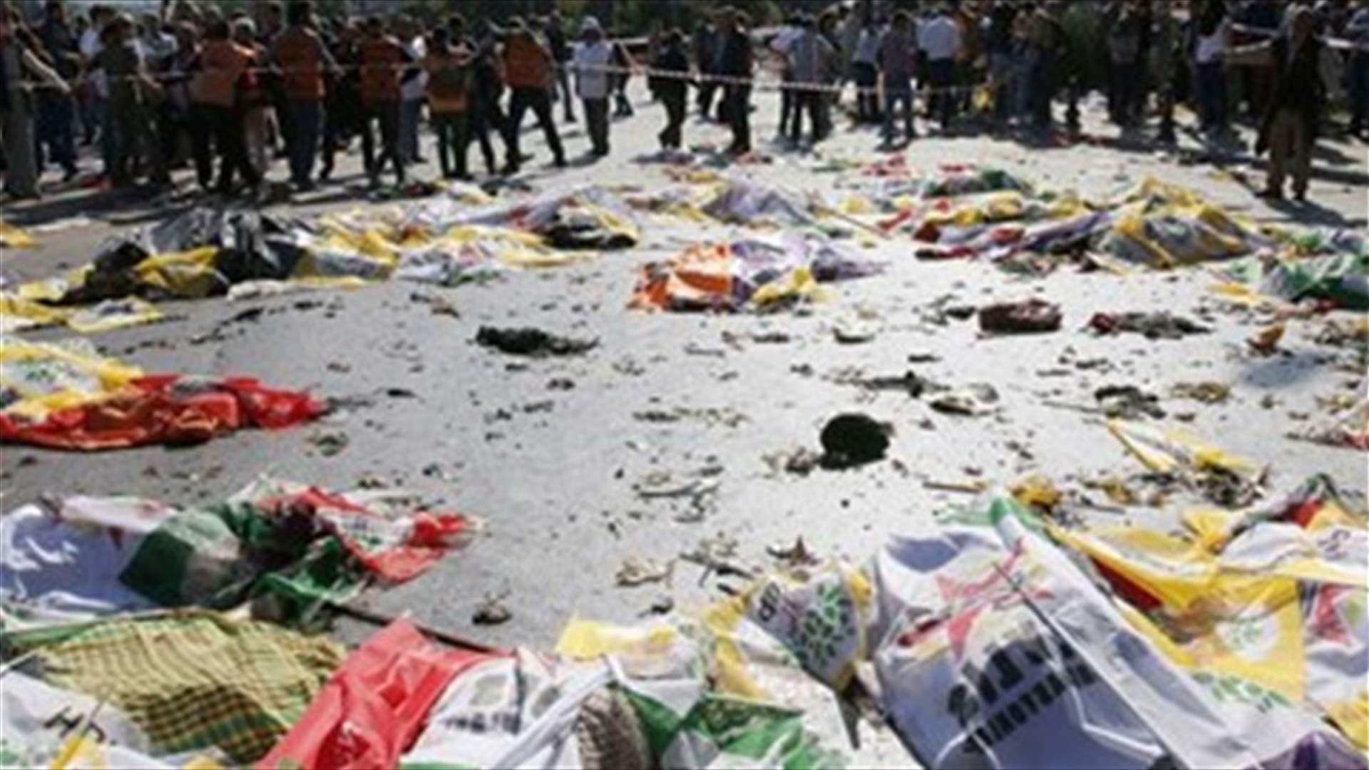 REPORT: Islamic State is prime suspect in Turkey bombing - PM Davutoglu