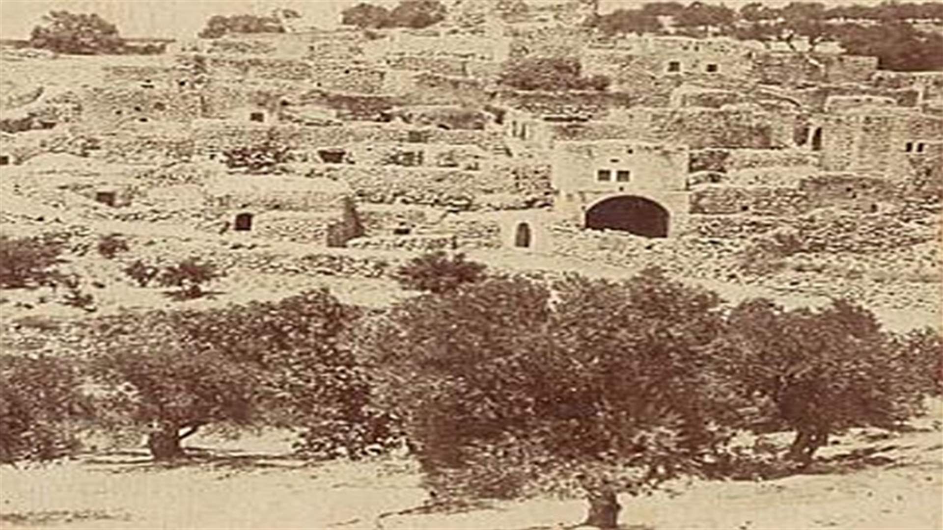 بالفيديو: فلسطين كما لم ترونها من قبل 