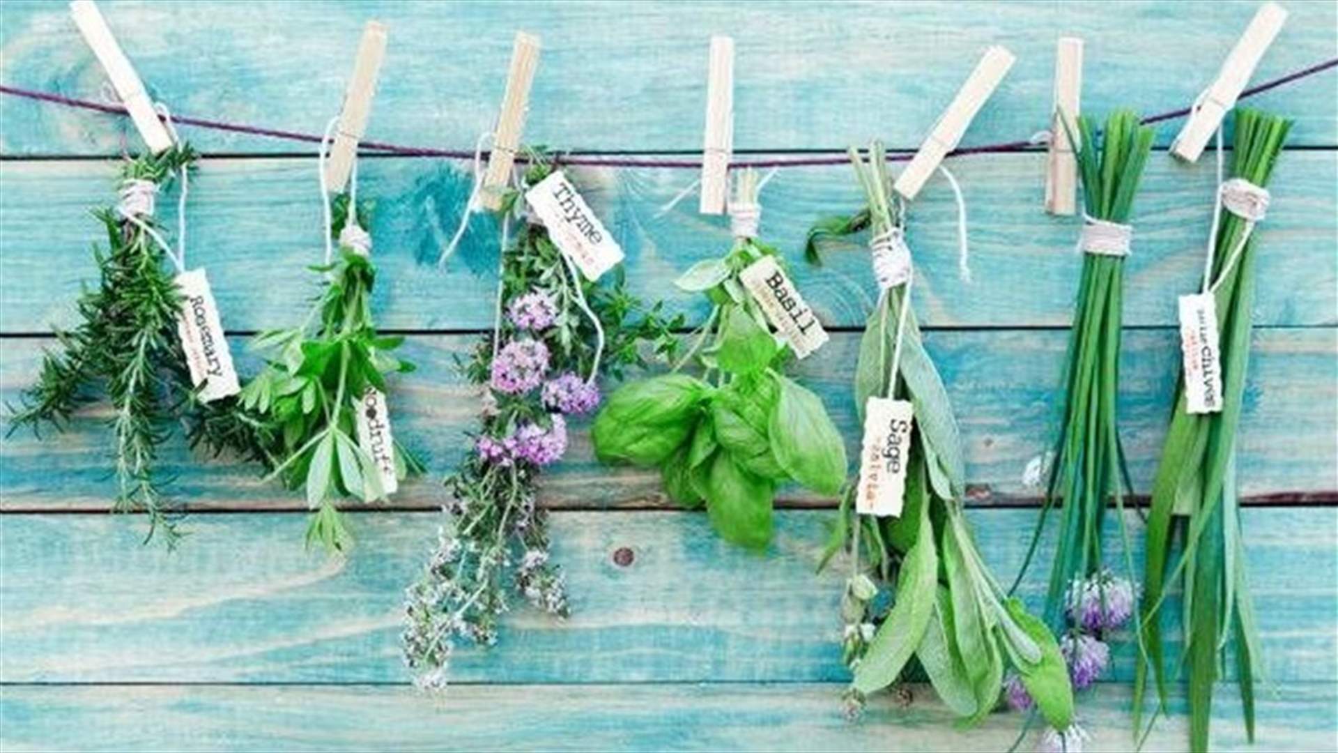 Your Guide To Cooking With Herbs