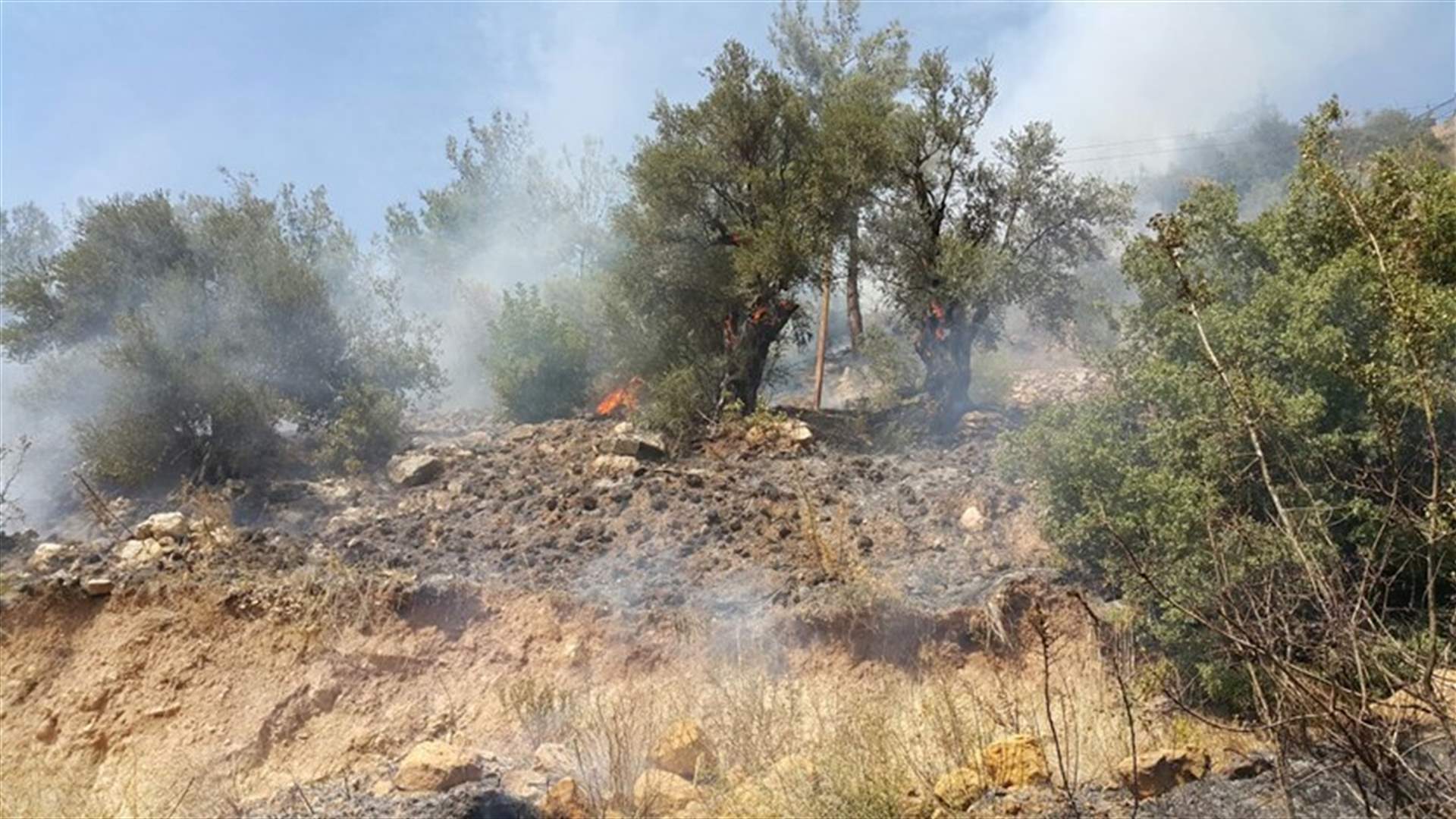 [PHOTOS] Fire erupts in Akkar town of Qabeit 