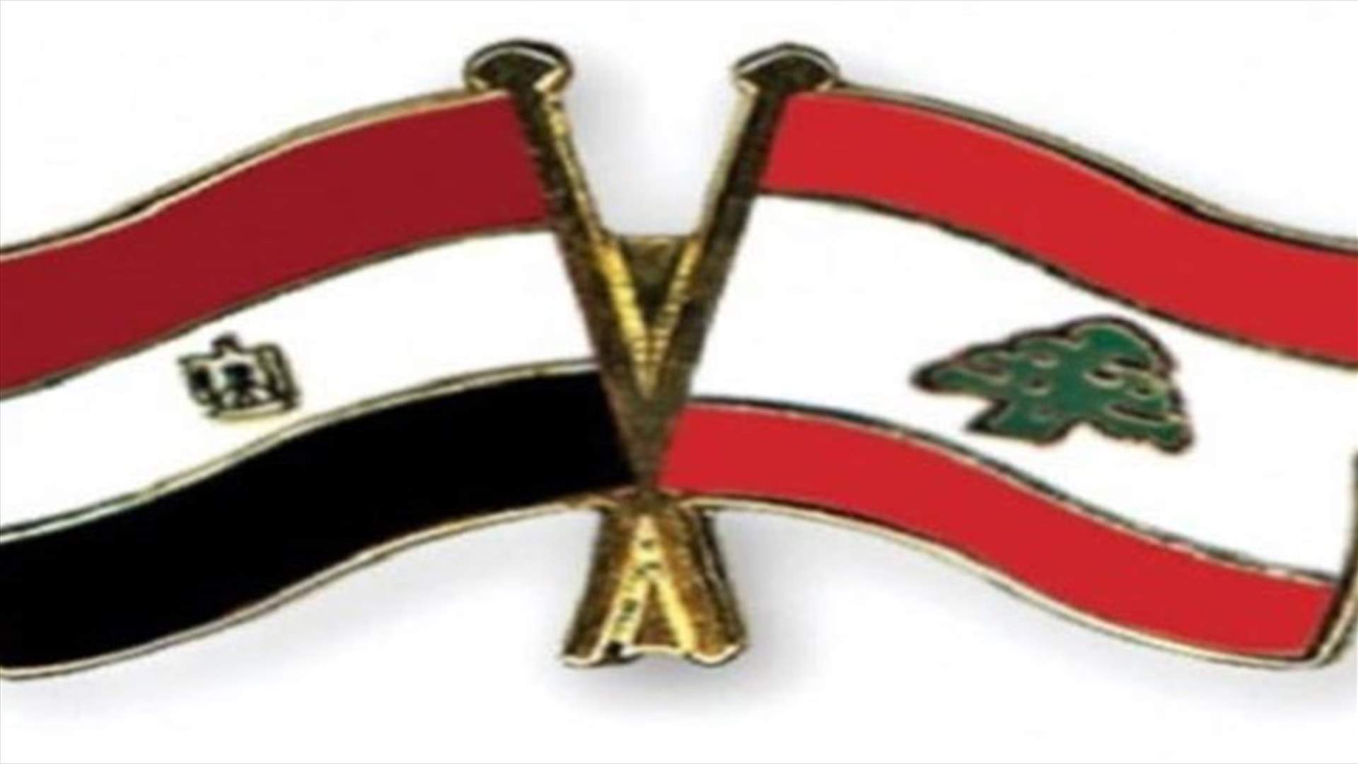 مصادر لـ"الجمهورية": وزير خارجية مصر أرجأ زيارته للبنان 