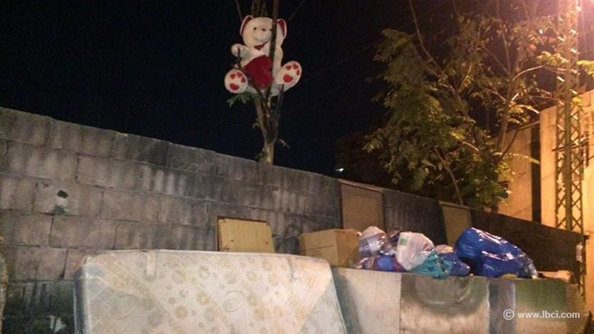 بالصورة: دبٌّ يحرس النفايات في الدكوانة ؟؟؟