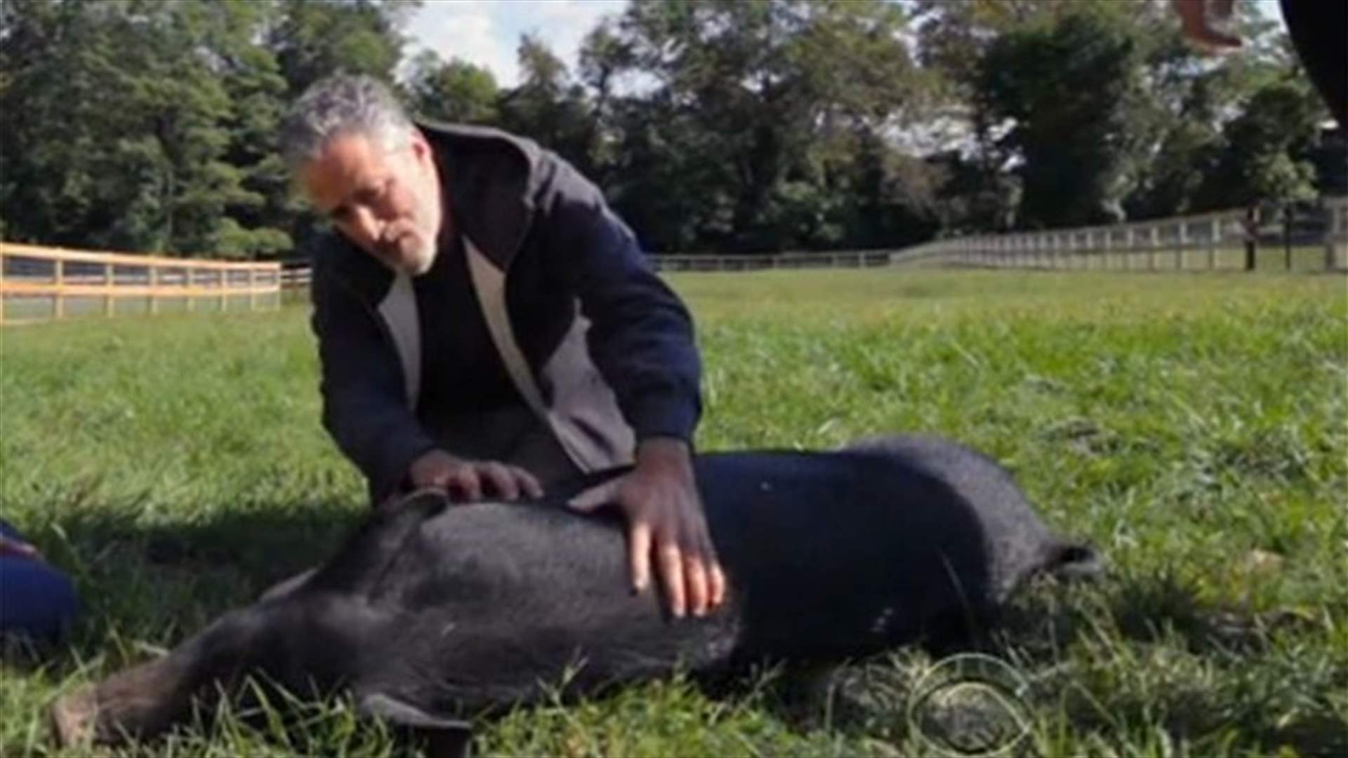 [VIDEO] Jon Stewart Starts Sanctuary To Rescue Abused Factory Farm Animals 