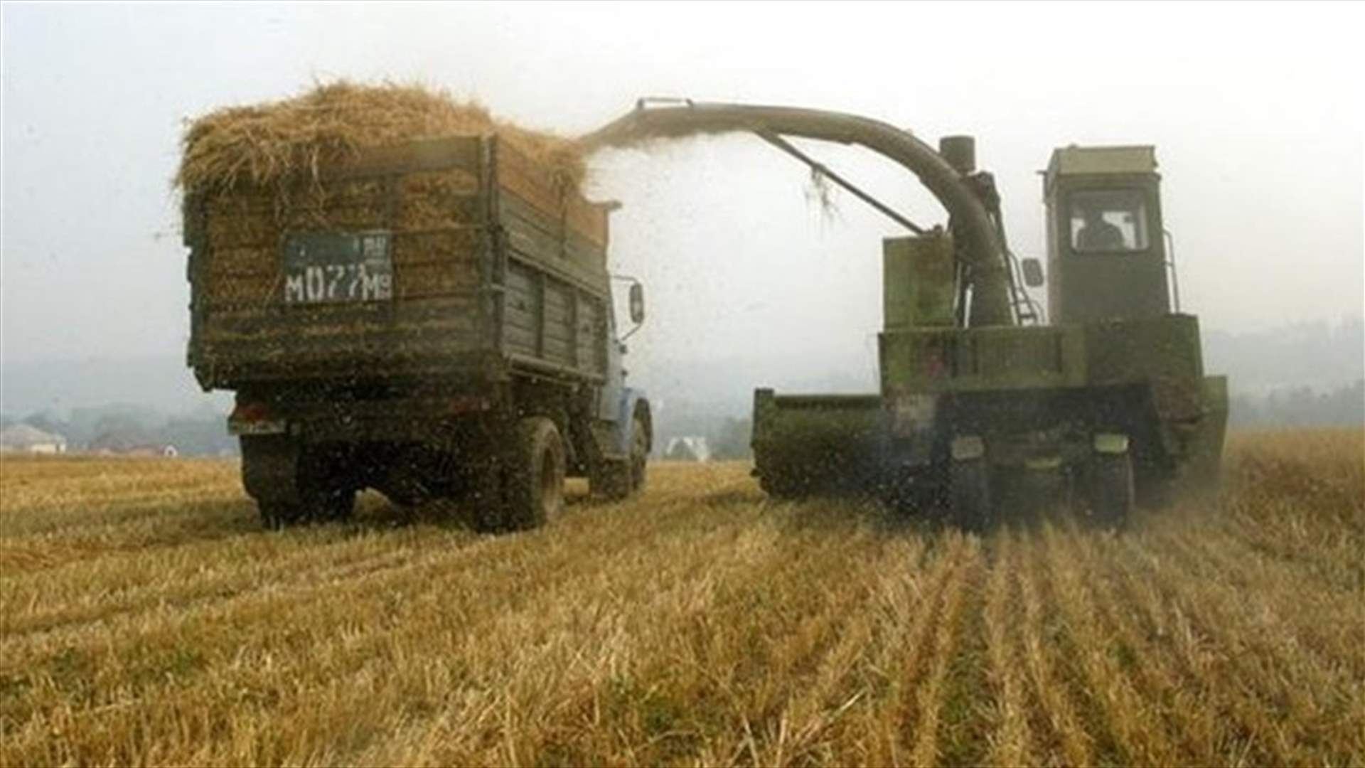 Russia AgMin confirms sending wheat to Syria as aid - RIA