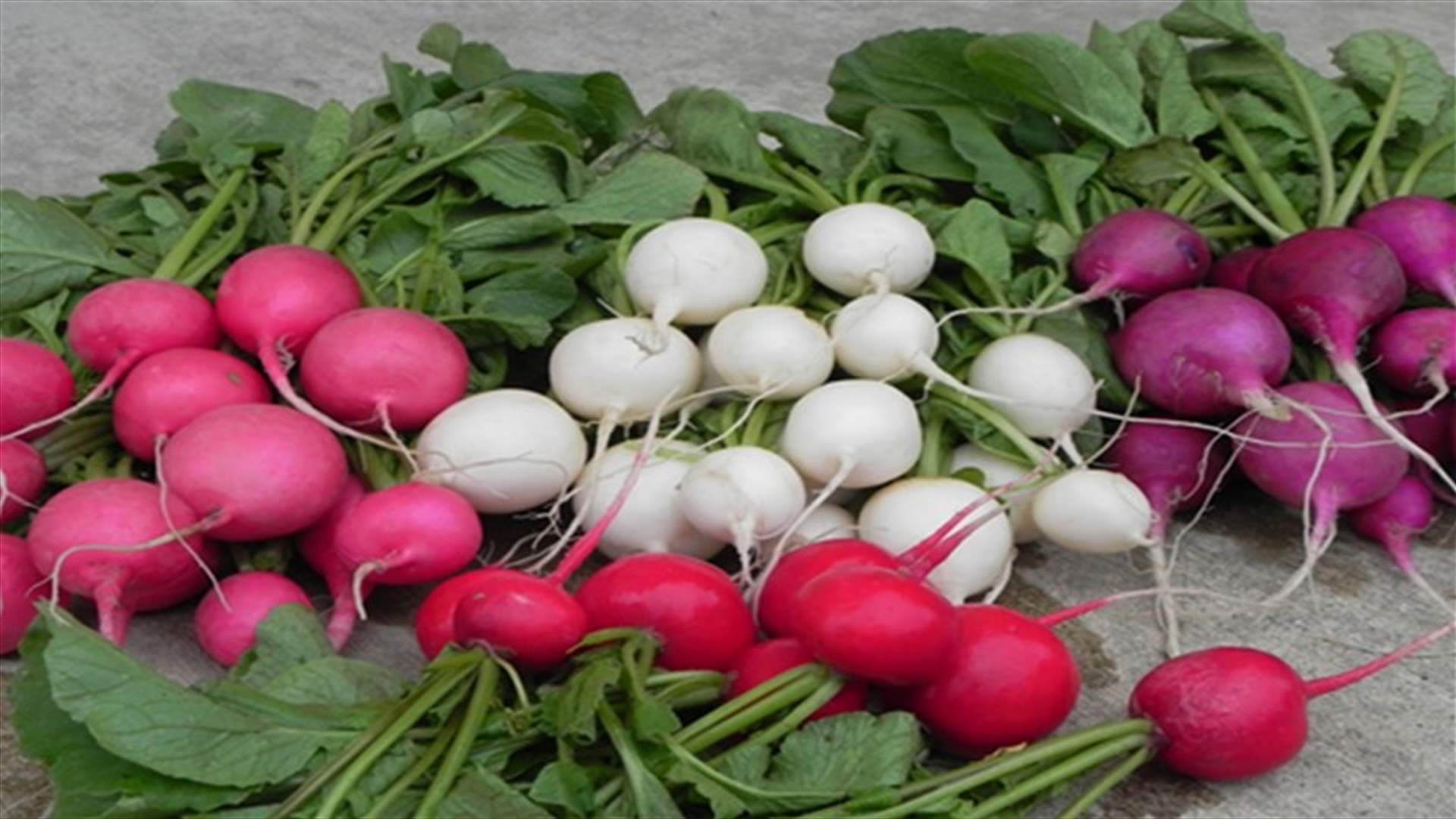 تعرفوا الى الفوائد الصحية للفجل