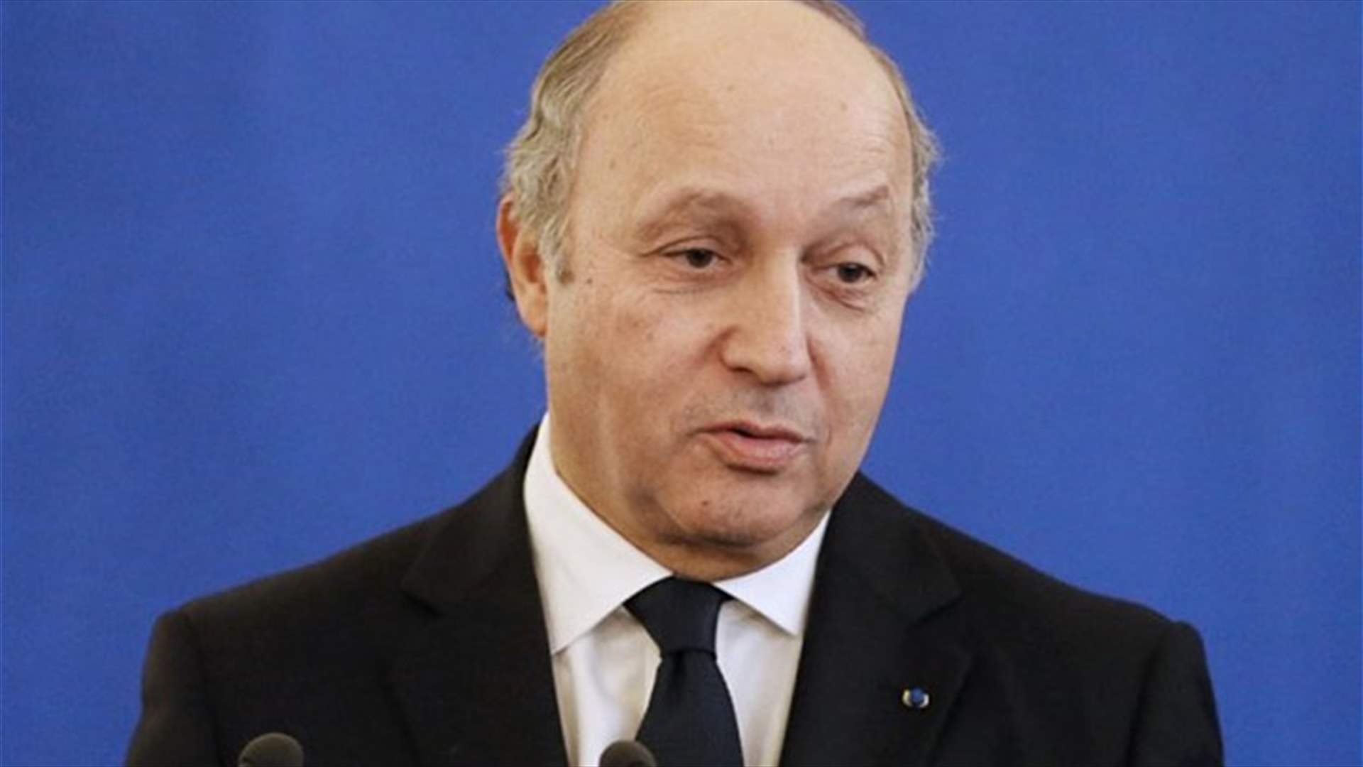 France's Fabius suggests working with Assad troops against Islamic State