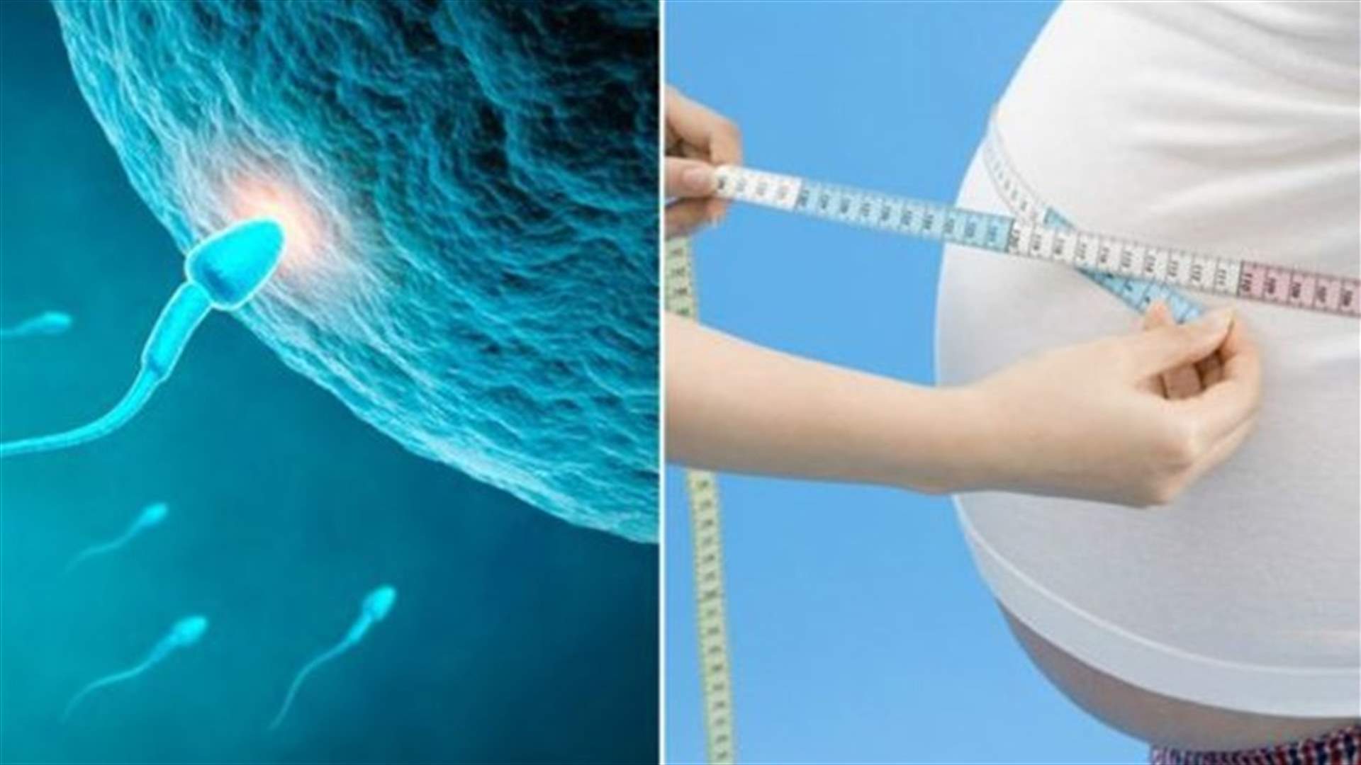 ما علاقة وزن الرّجل بالحيوانات المنويّة؟ 