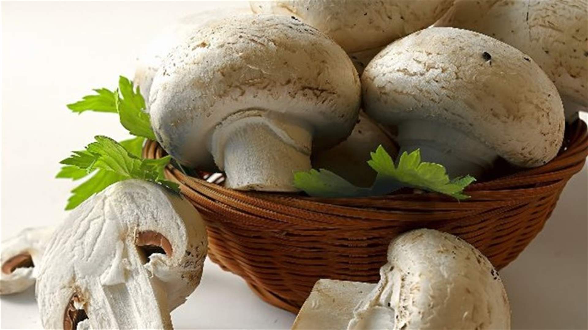 ما هي الفوائد الصحيّة لتناول الفطر؟