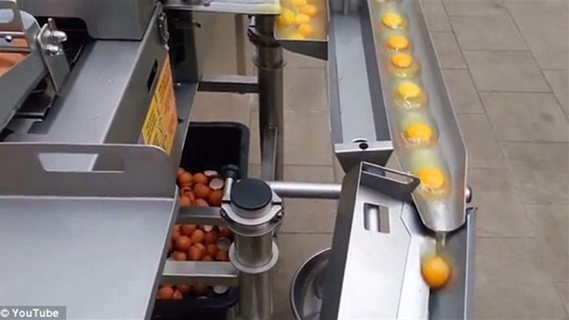 بالفيديو: آلة مذهلة لكسر وفصل 120 بيضة بثوانٍ
