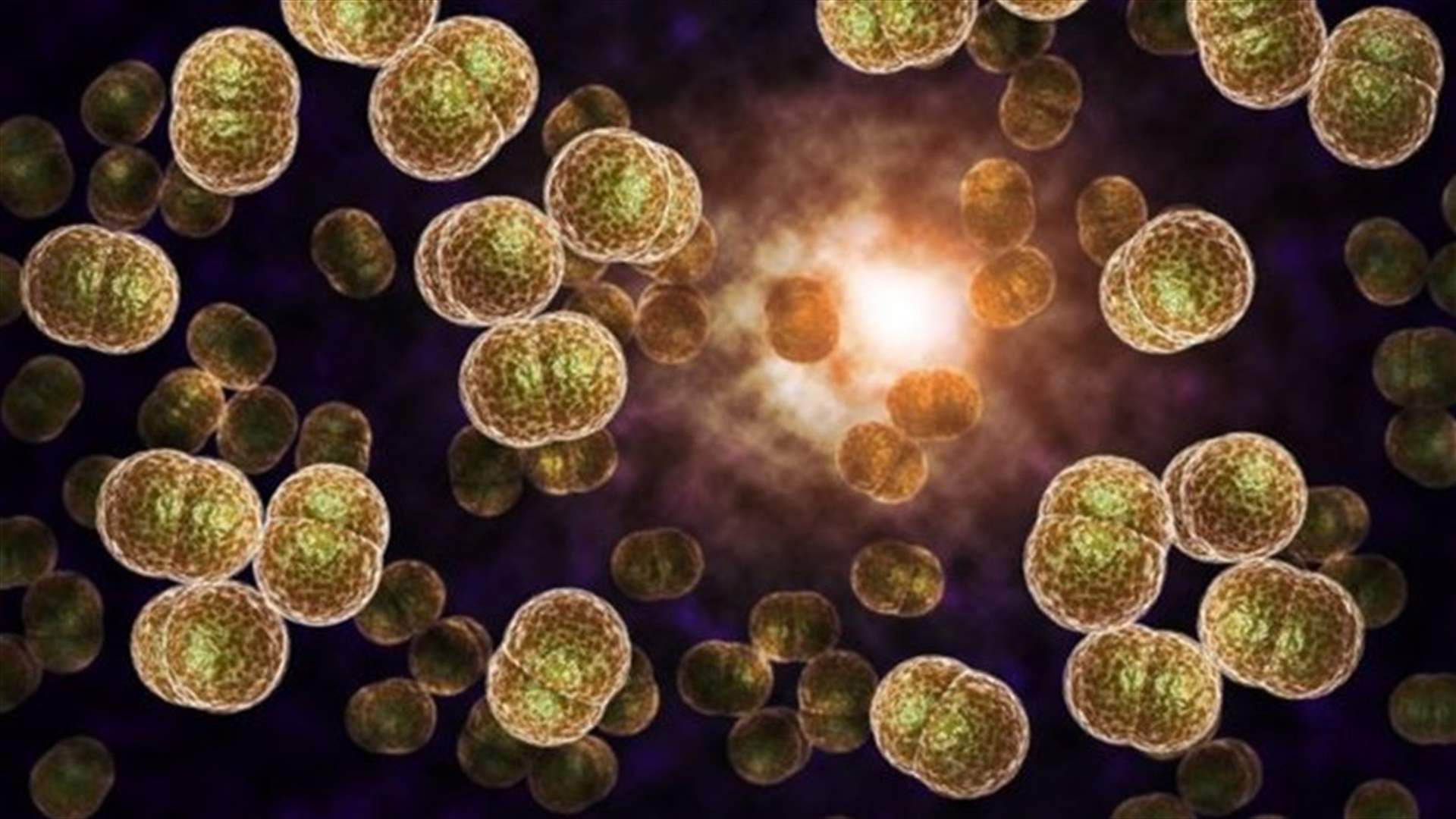 Chief Medic Says Gonorrhoea Could Become Untreatable