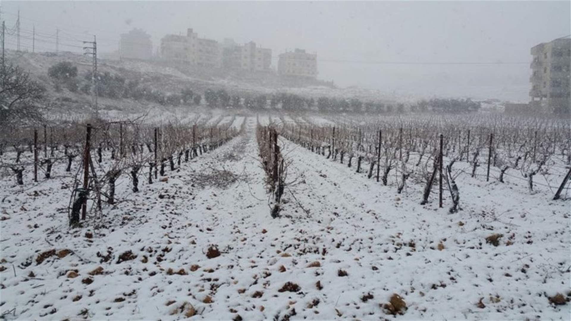 [PHOTOS] Storm Vladimir hits Lebanon, roads blocked with snow