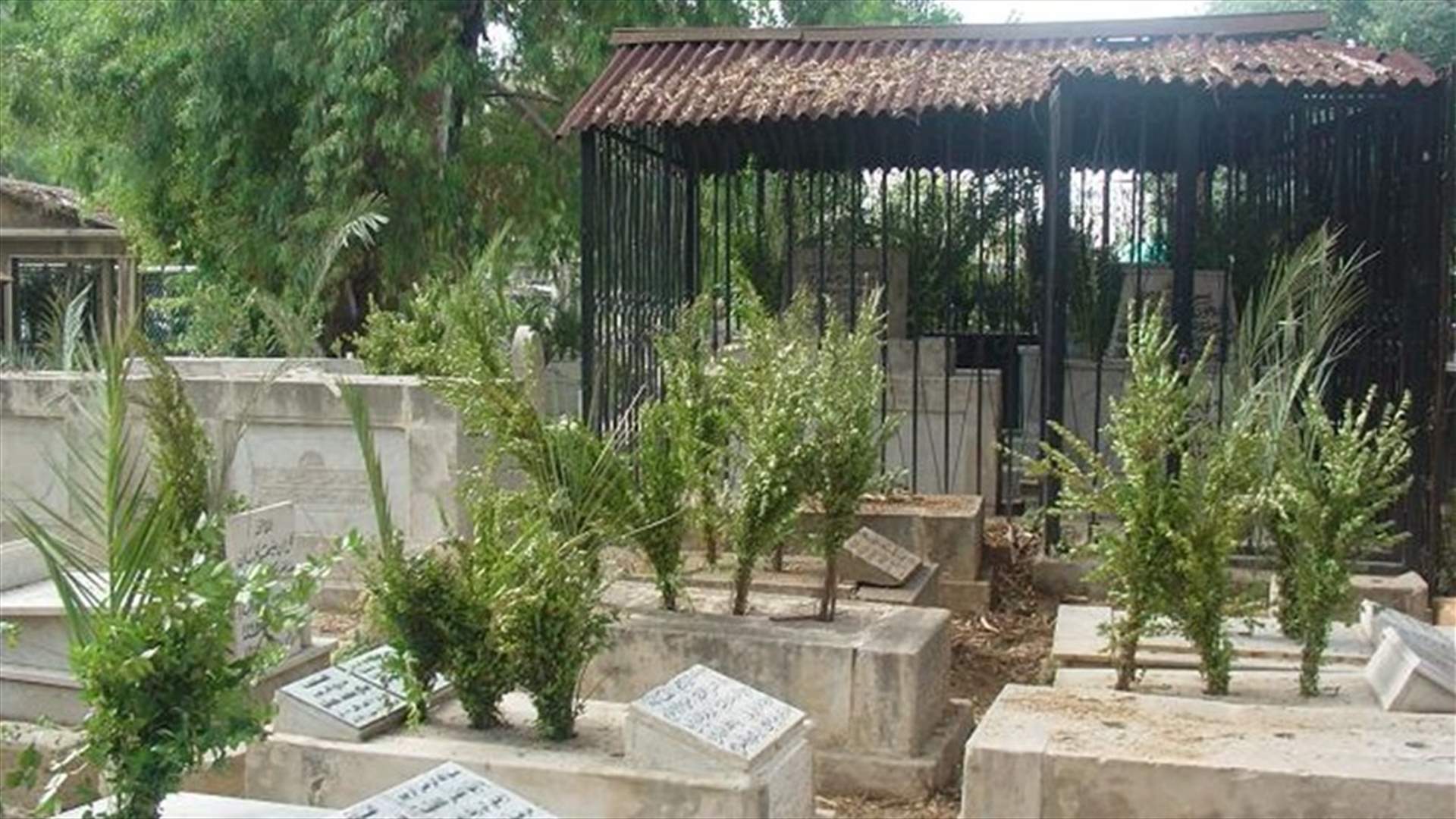 هذه هي حقيقة نقل الجثث من مقبرة باب الرمل في طرابلس