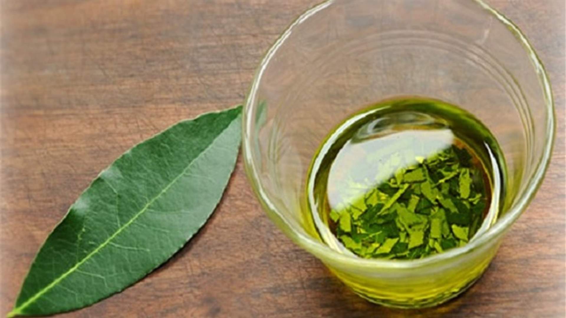 فوائد مذهلة ومجهولة لورق الغار