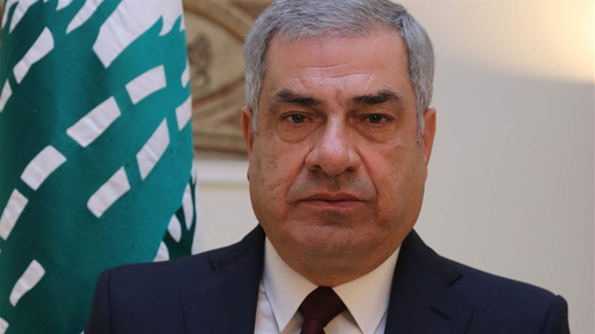 حناوي لـ"النهار": لا يجوز أن يكون هناك ثلث معطّل في المجلس العسكري