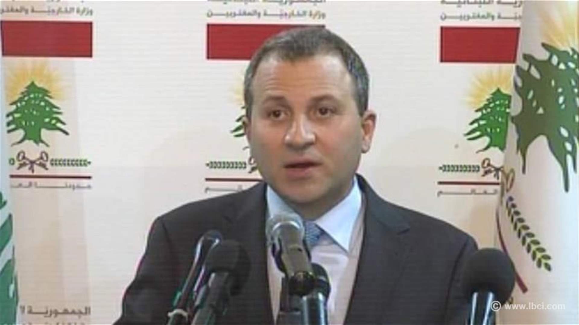 Bassil hails reactivation of Cabinet’s work 