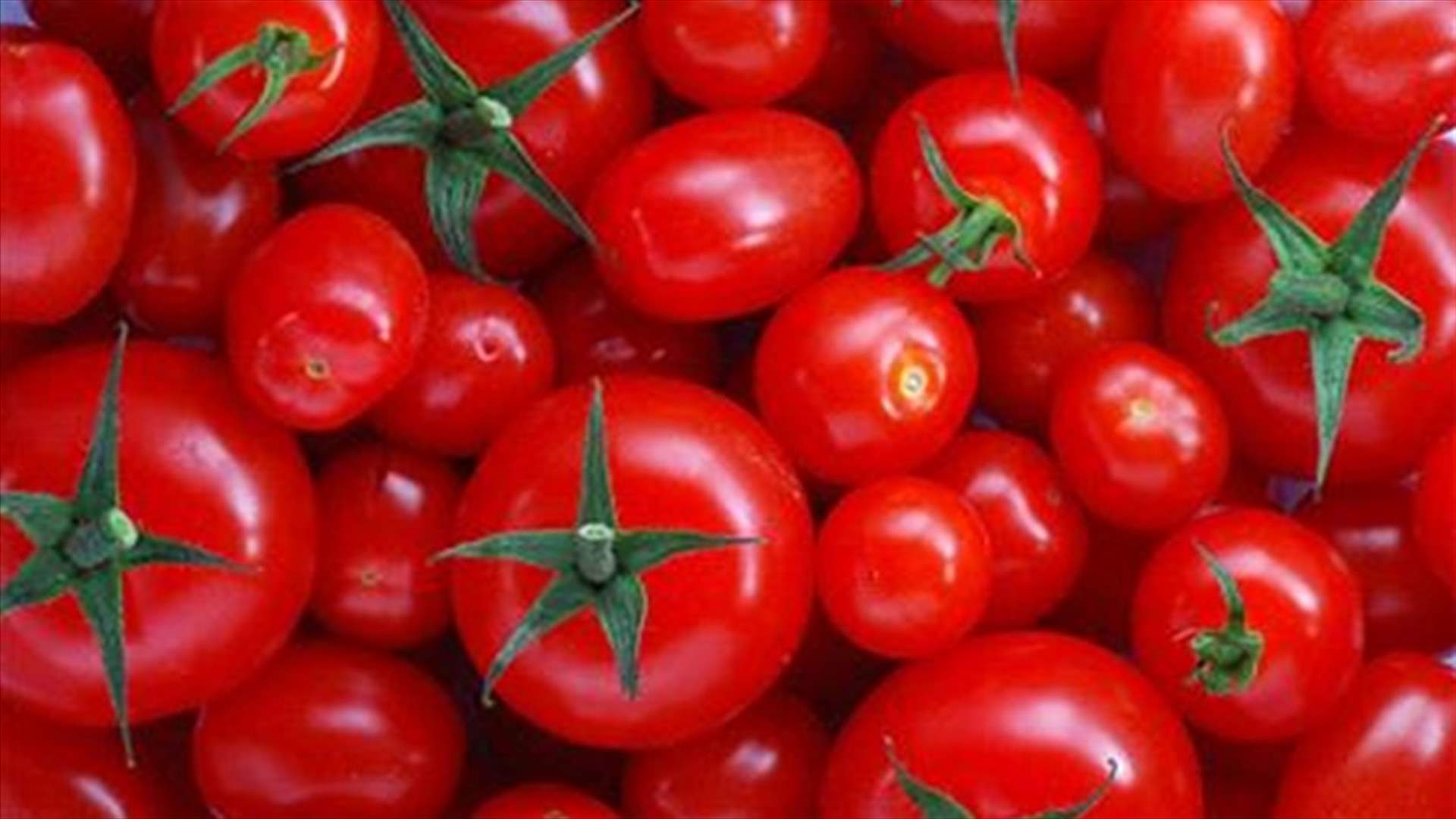 بالصورة: ببساطة...كيف يتحول البندورة الى ليمون؟