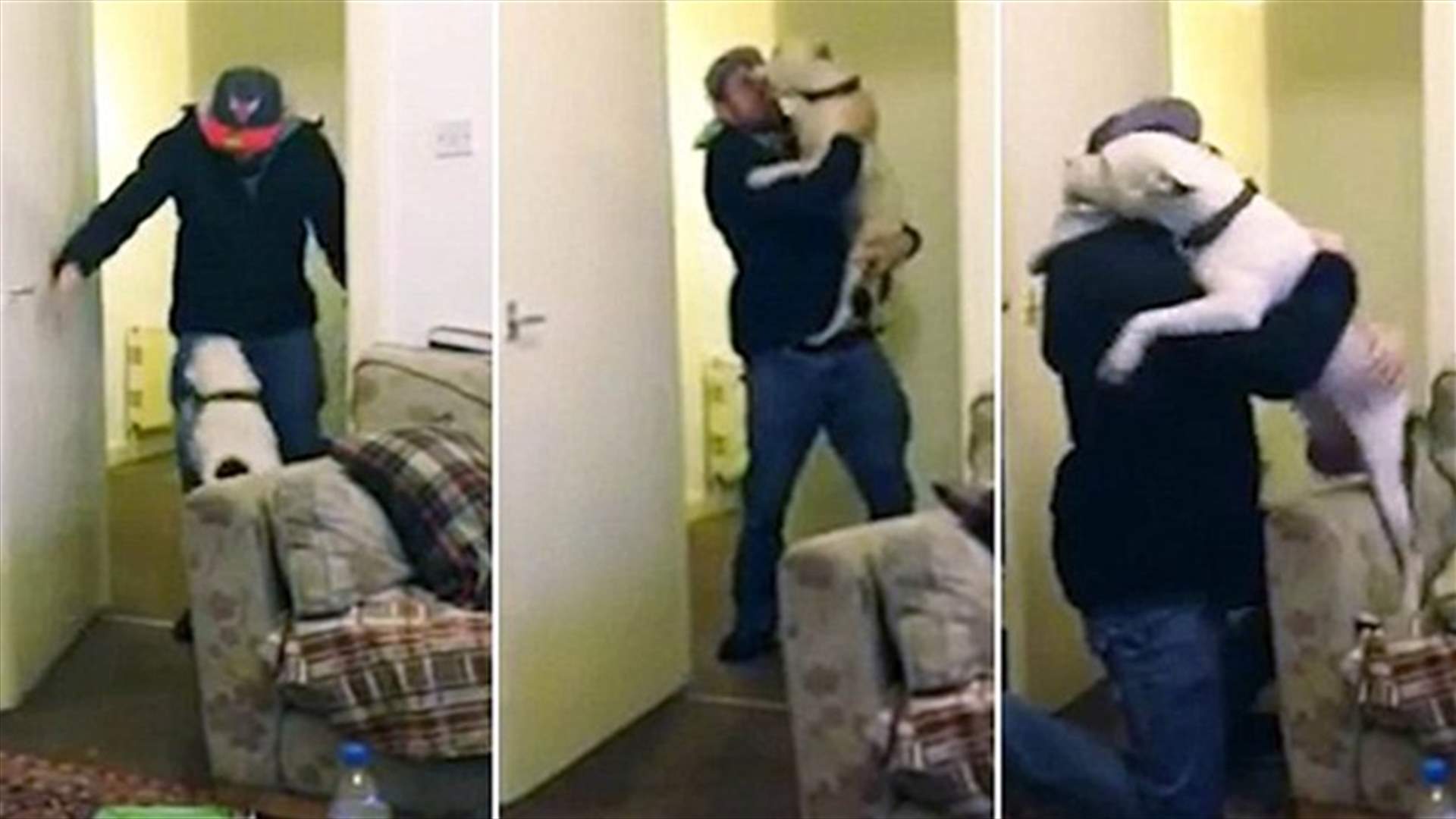 [VIDEO] Rescue Dog Leaps Into Arms Of Its Owner On His Return From Hospital