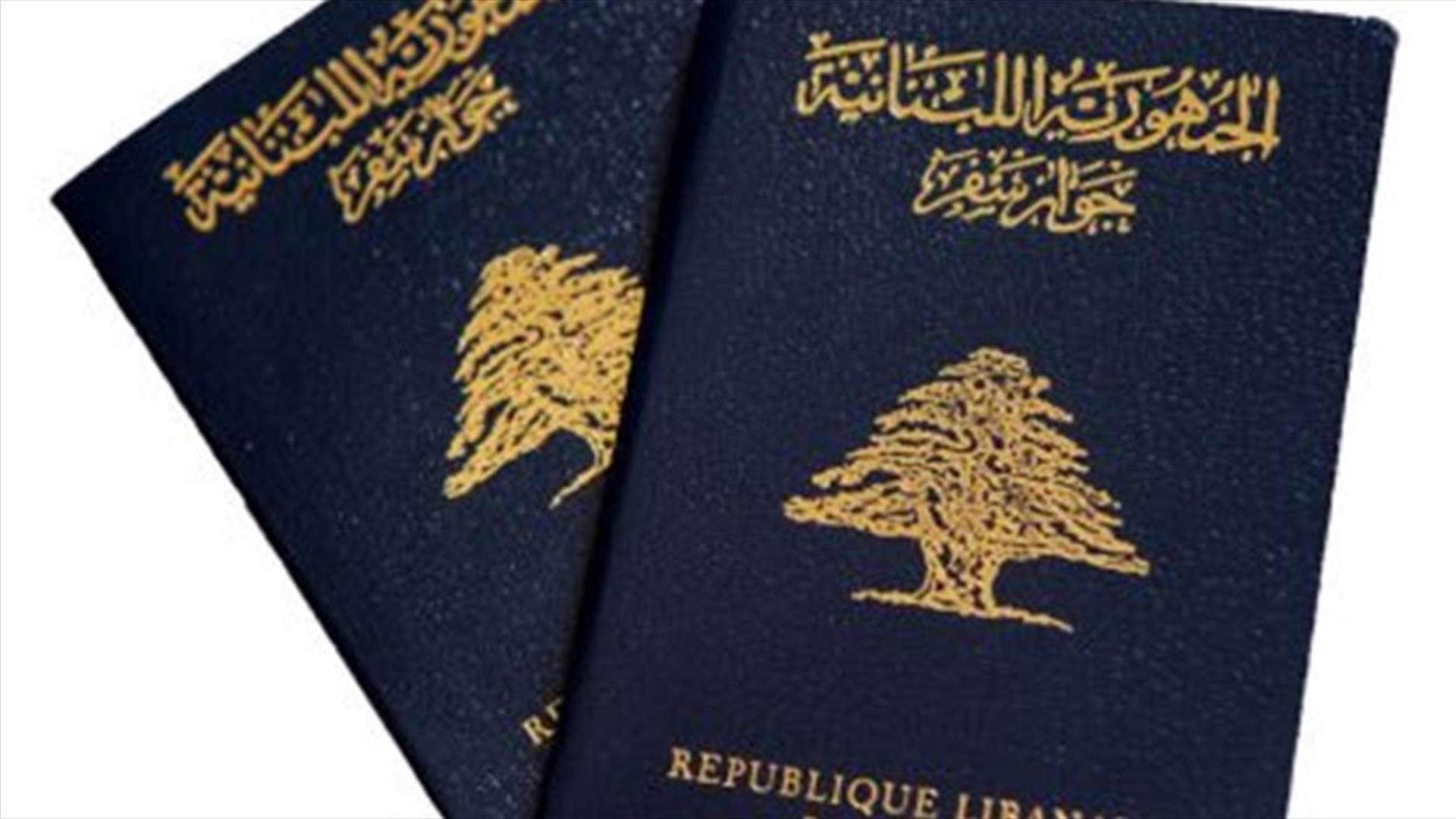 الامن العام: لا صحة للمعلومات حول الغاء جوازات السفر المكتوبة باليد