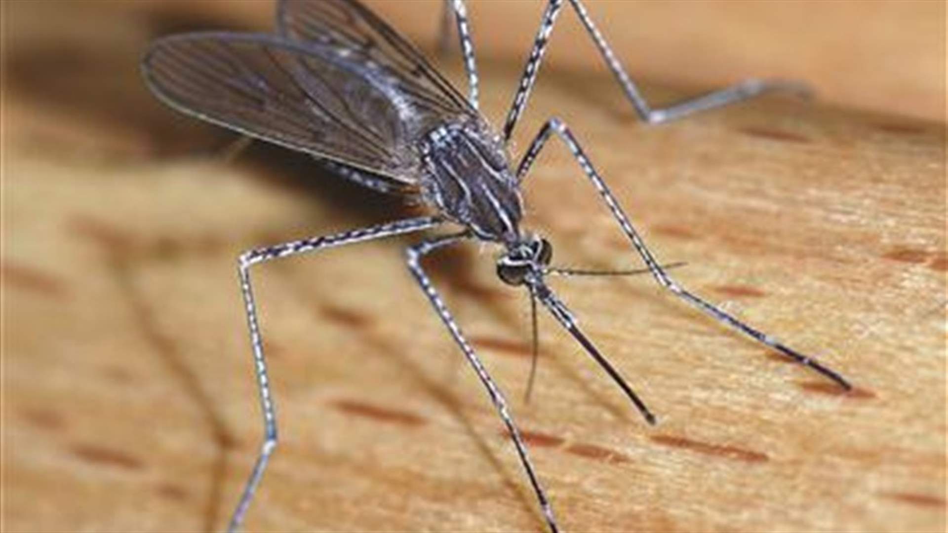 السفير: خمسة مسببات لفيروسات خطرة.. متوفرة في لبنان