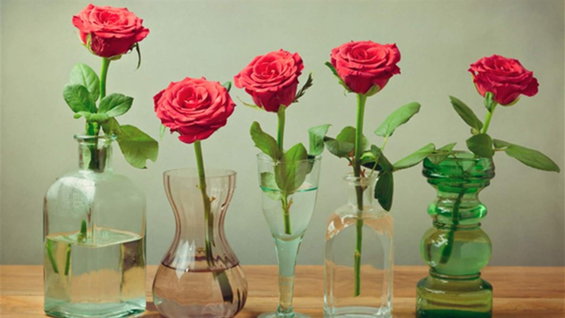 بالفيديو: خدعة بسيطة للمحافظة على الورود لفترةٍ أطول