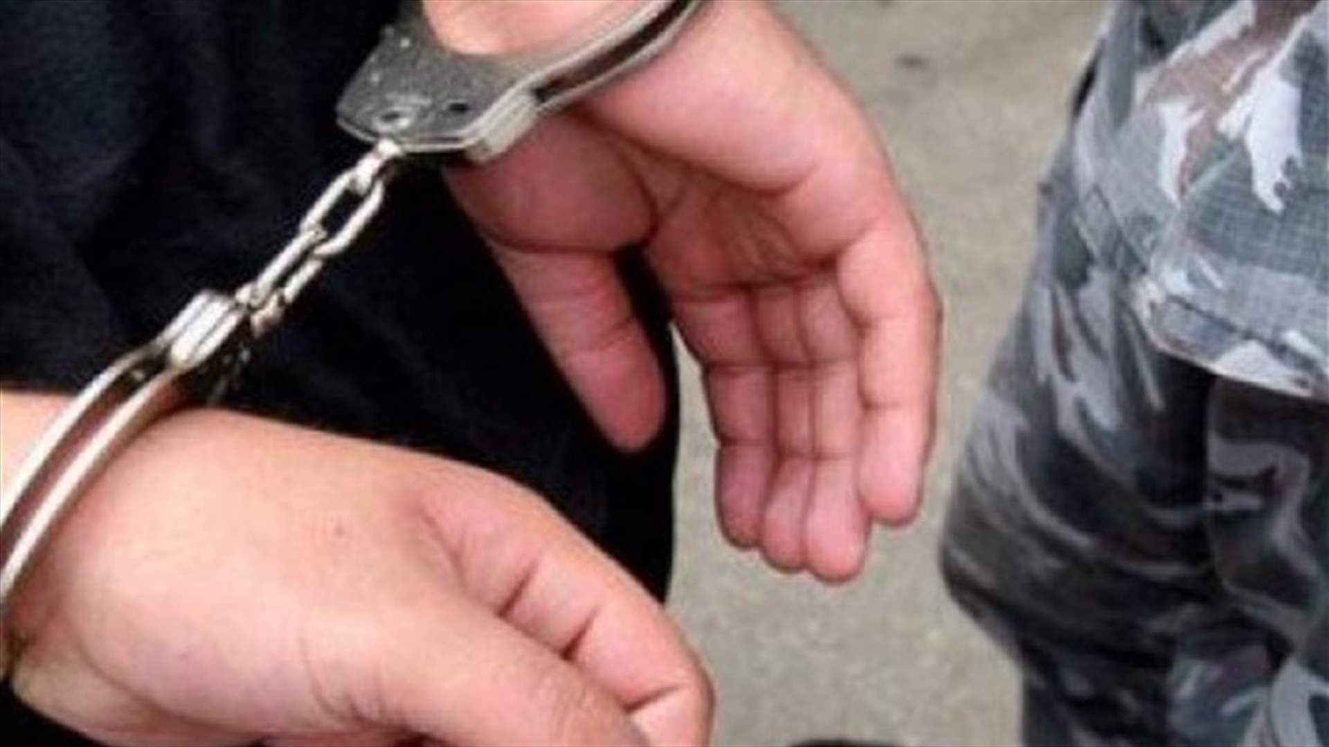 توقيف 26 شخصاً دخلوا بطريقة غير شرعية الى لبنان