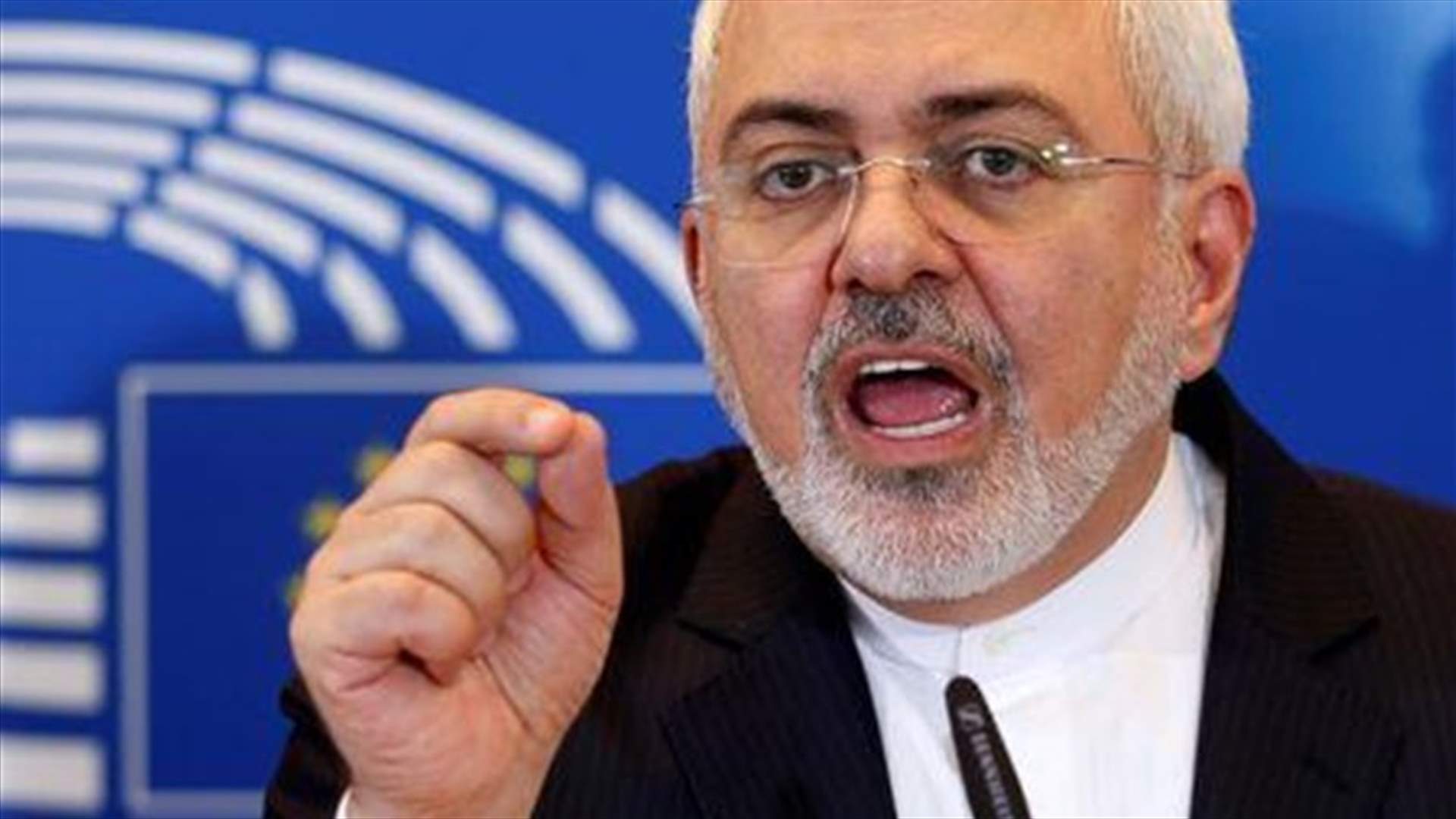 Iran&#39;s Zarif tells European lawmakers Islamist militancy also their problem