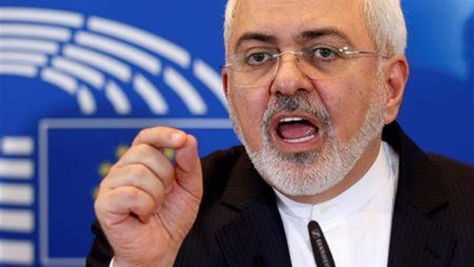 Iran's Zarif tells European lawmakers Islamist militancy also their problem