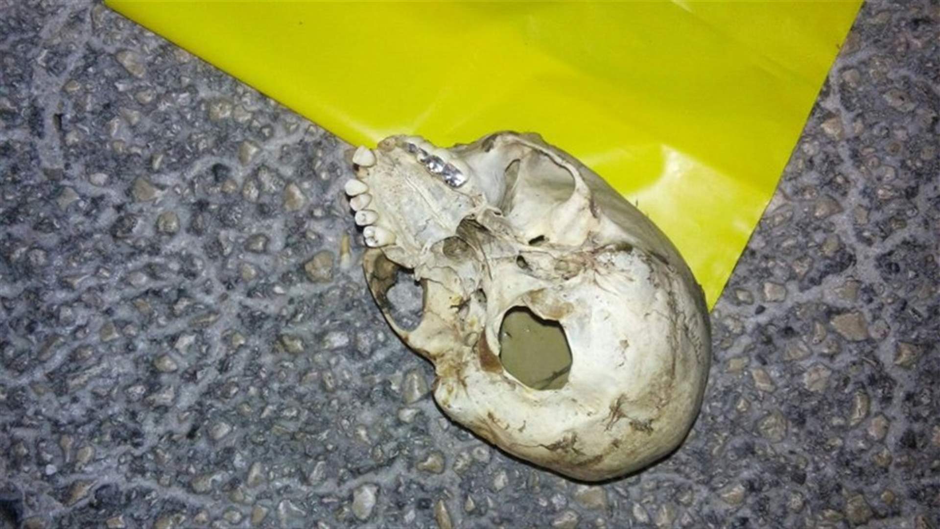 العثور على جمجمة بشرية مرمية على طريق عام القبيات المرغان