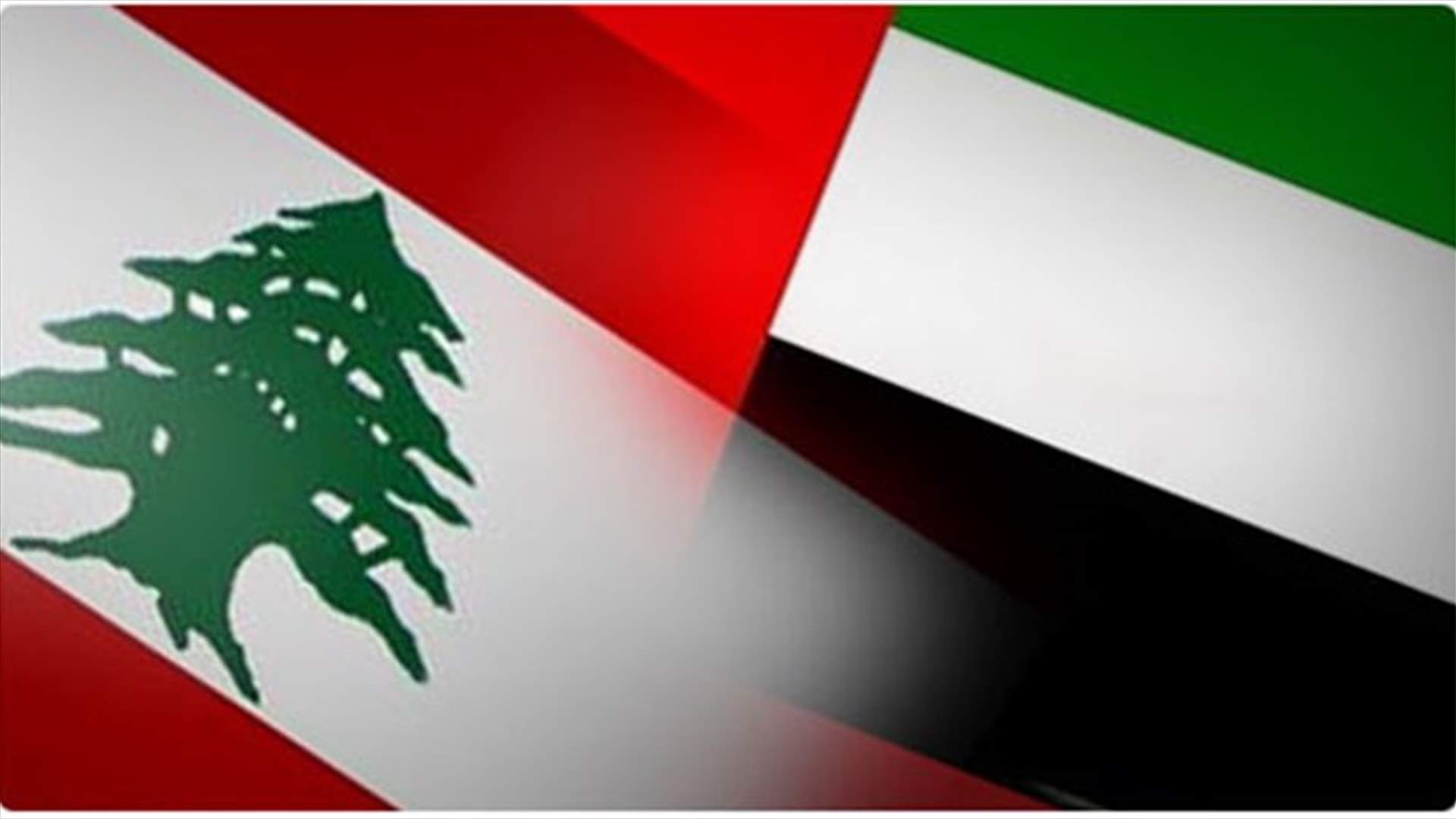 اوساط باسيل لـ "السفير": عشرون مبعداً لبنانياً جديداً من الإمارات