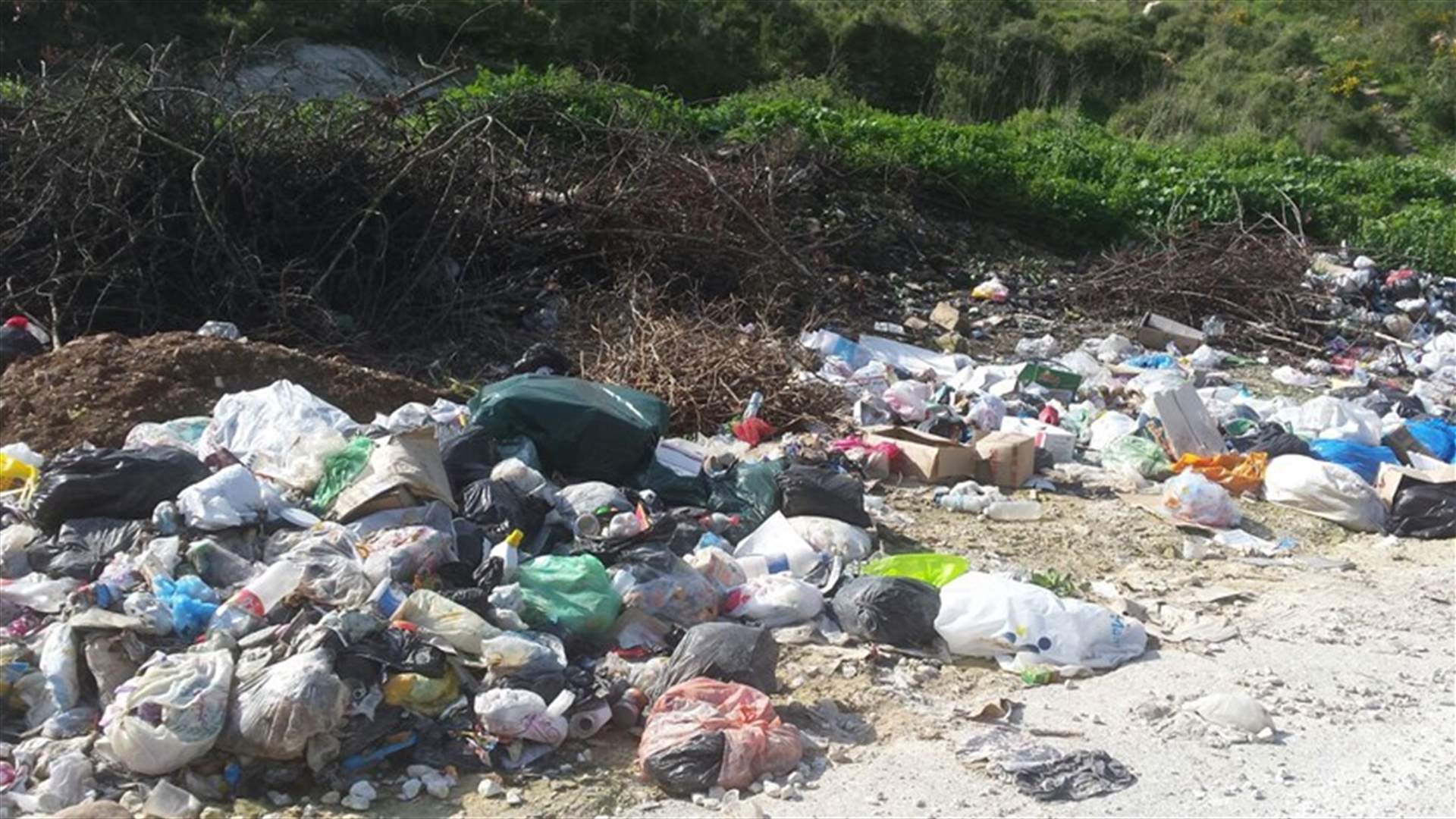 محاضر ضبط بحق بلديات تفاحتا وبنعوفل وقناريت