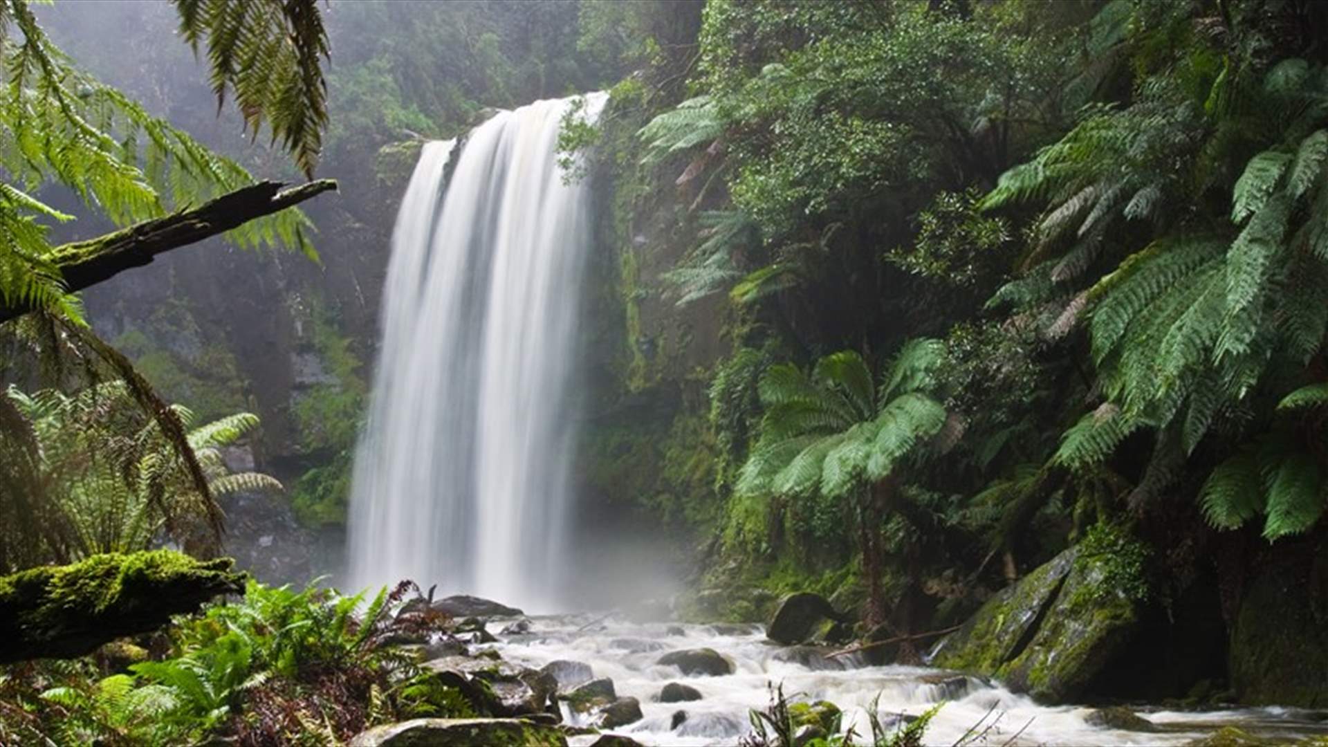 Global Group To Assess Human Impact On Nature Over 3 Years