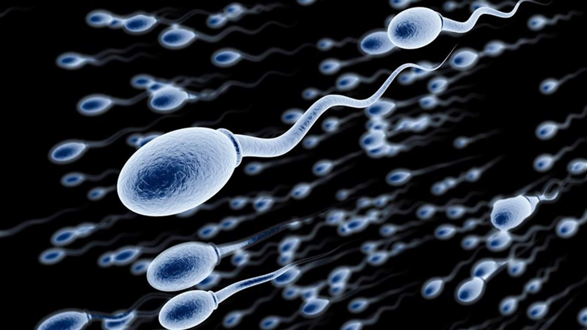 اكتشاف مذهل.. "انتاج حيوانات منوية" من الجلد