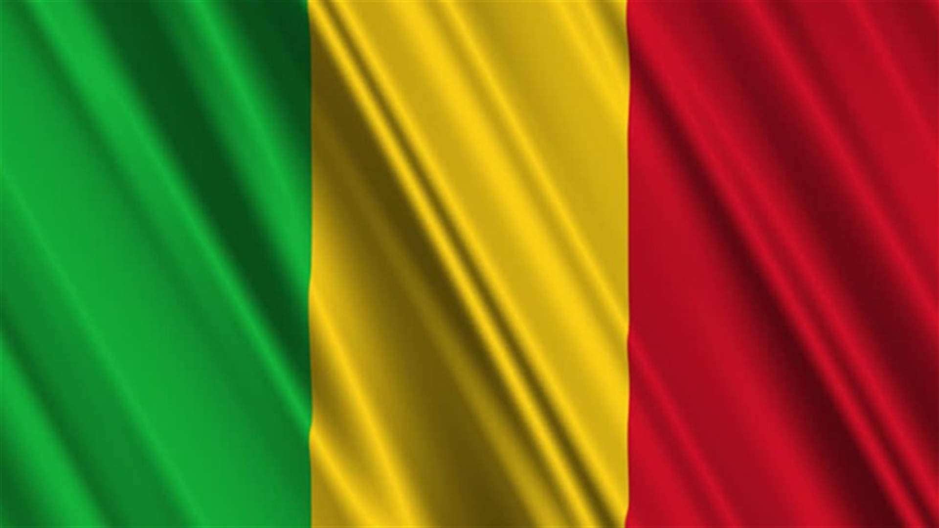 UN Security Council pushes peace deal implementation in Mali