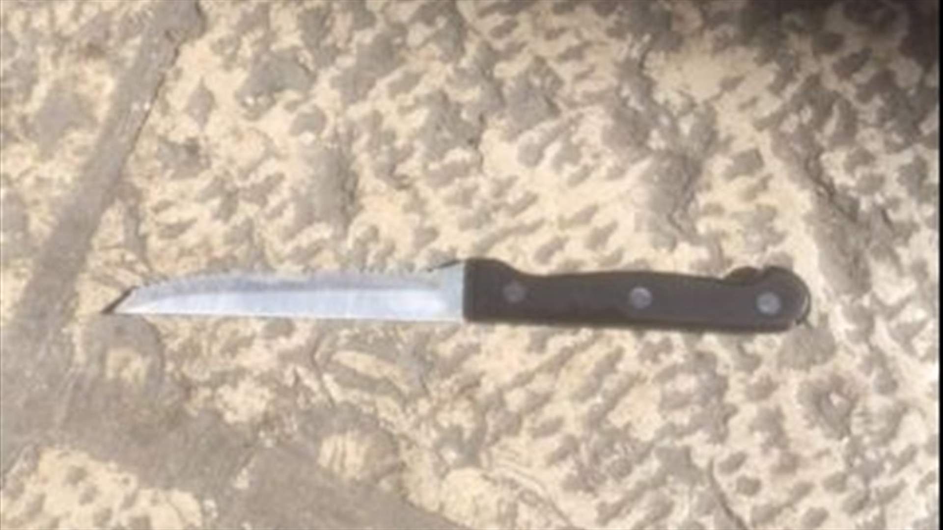 Israel: Palestinian woman tries to stab officers, is killed