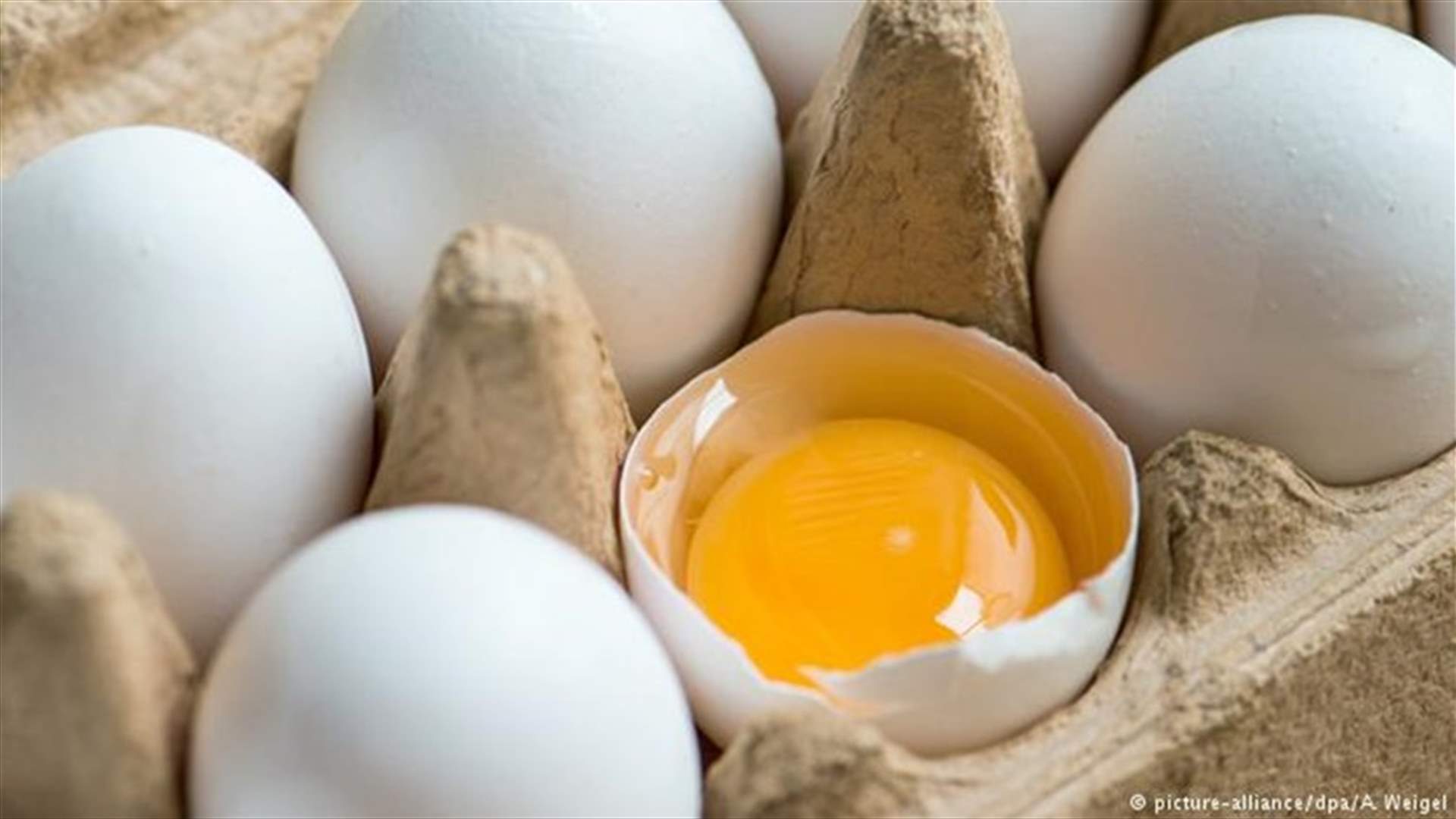 كيف تُحافظون على بيض صحيّ لمدّةٍ أطول؟