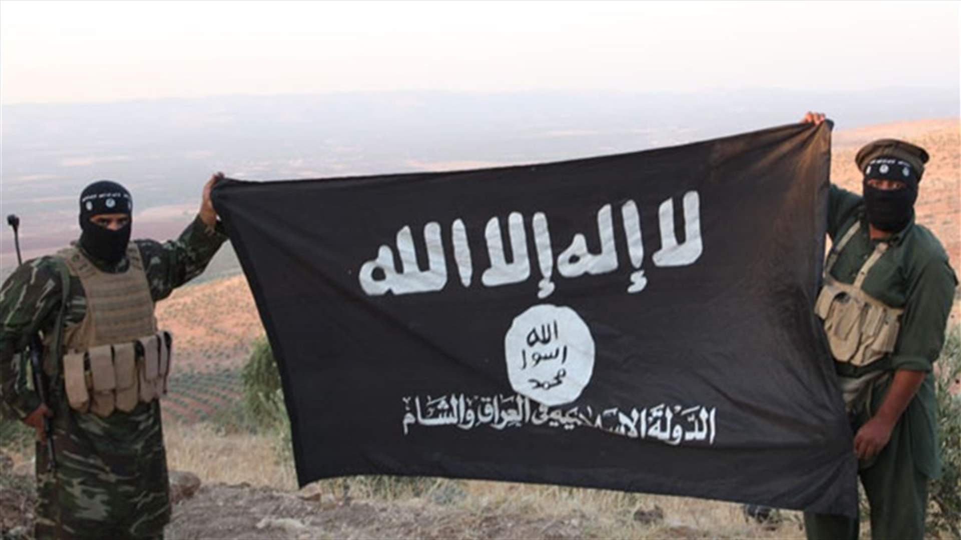 Senior Islamic State commander likely killed -U.S. official
