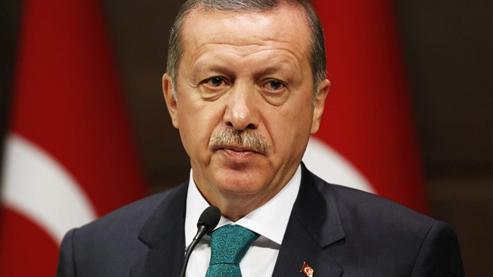 Turkey should consider stripping citizenship from supporters of terrorism - Erdogan