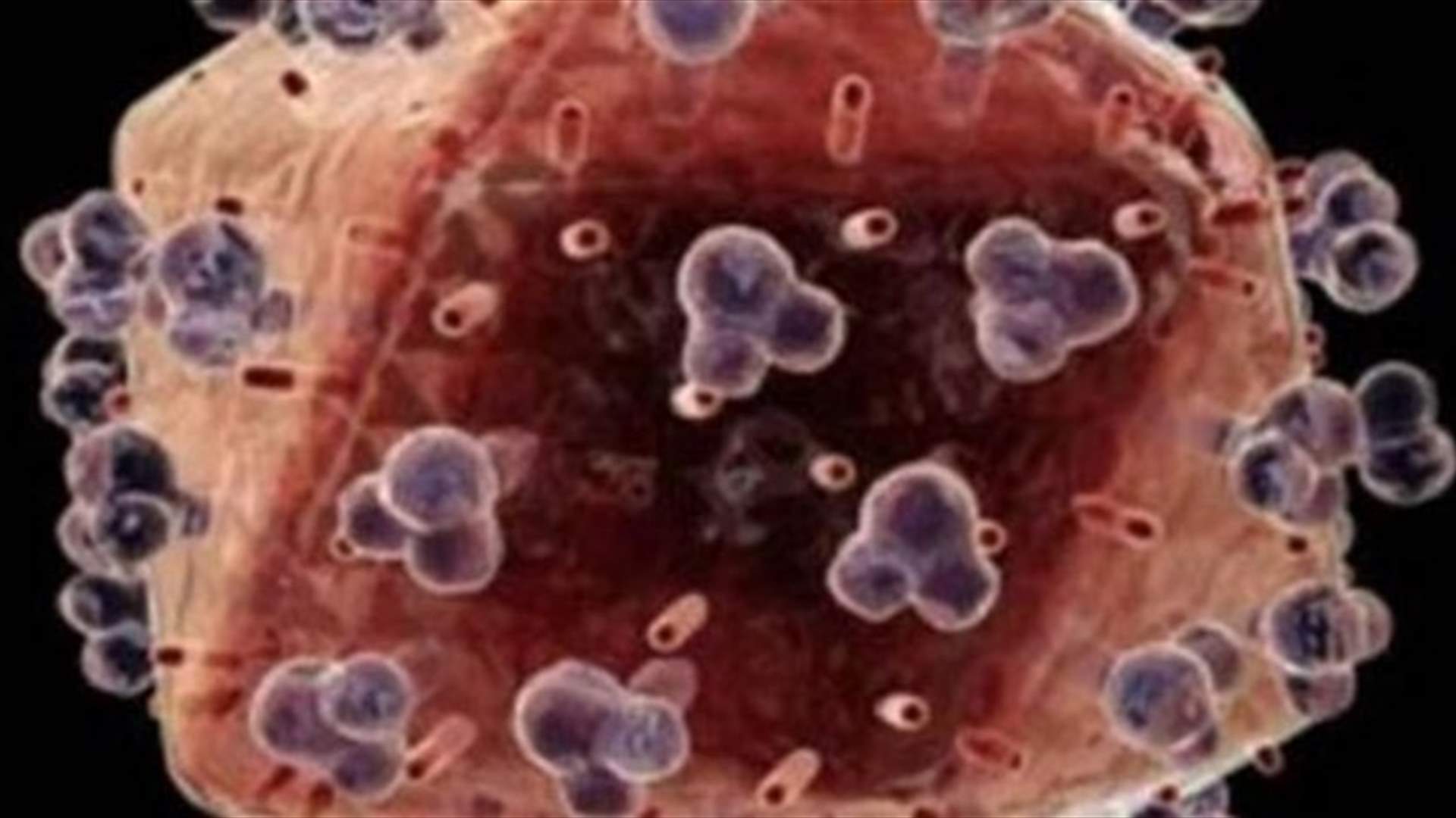 7 أطعمة تحارب السرطان