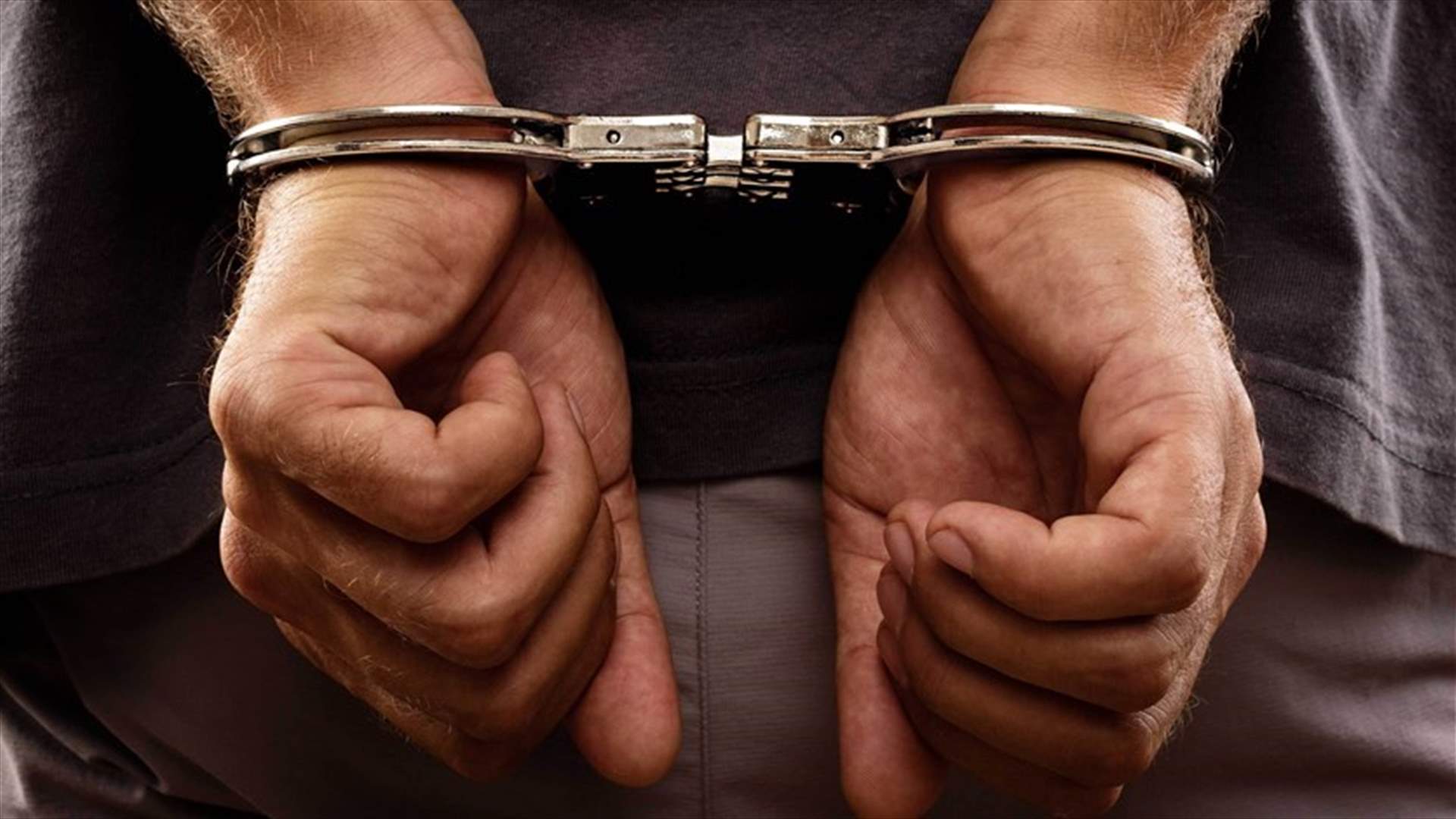 General Security arrests Syrian national on terror-related charges