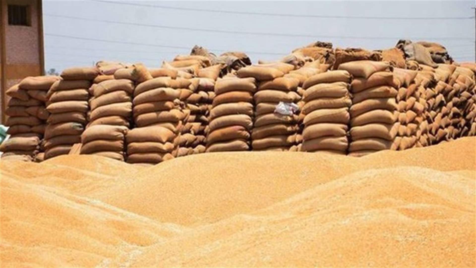Russian delegation in Lebanon following wheat-related issues
