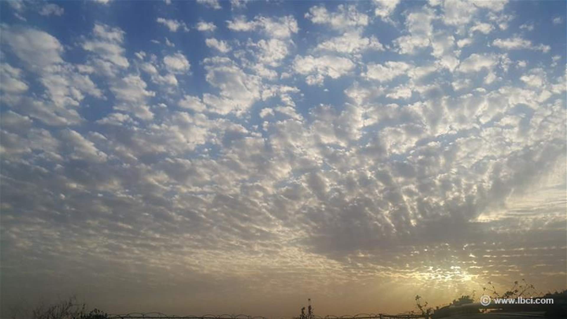 مطرُ نيسان... يحيي الأرض والإنسان